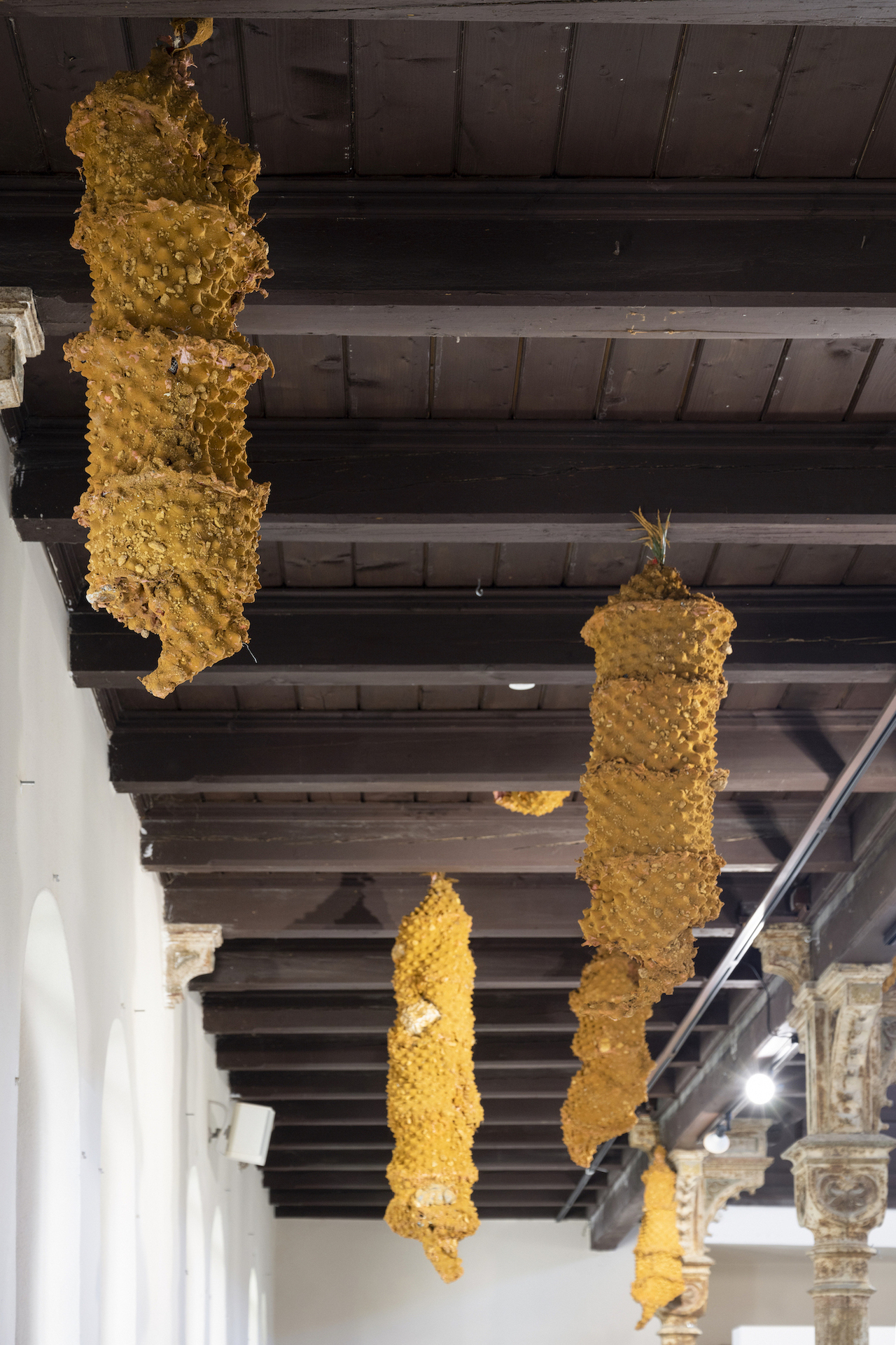 Šimon Chovan – Dear Thearlings, 2019 – 2022, Silicone, soil, plaster, stones, concrete, nails, rust, dust, Variable dimensions