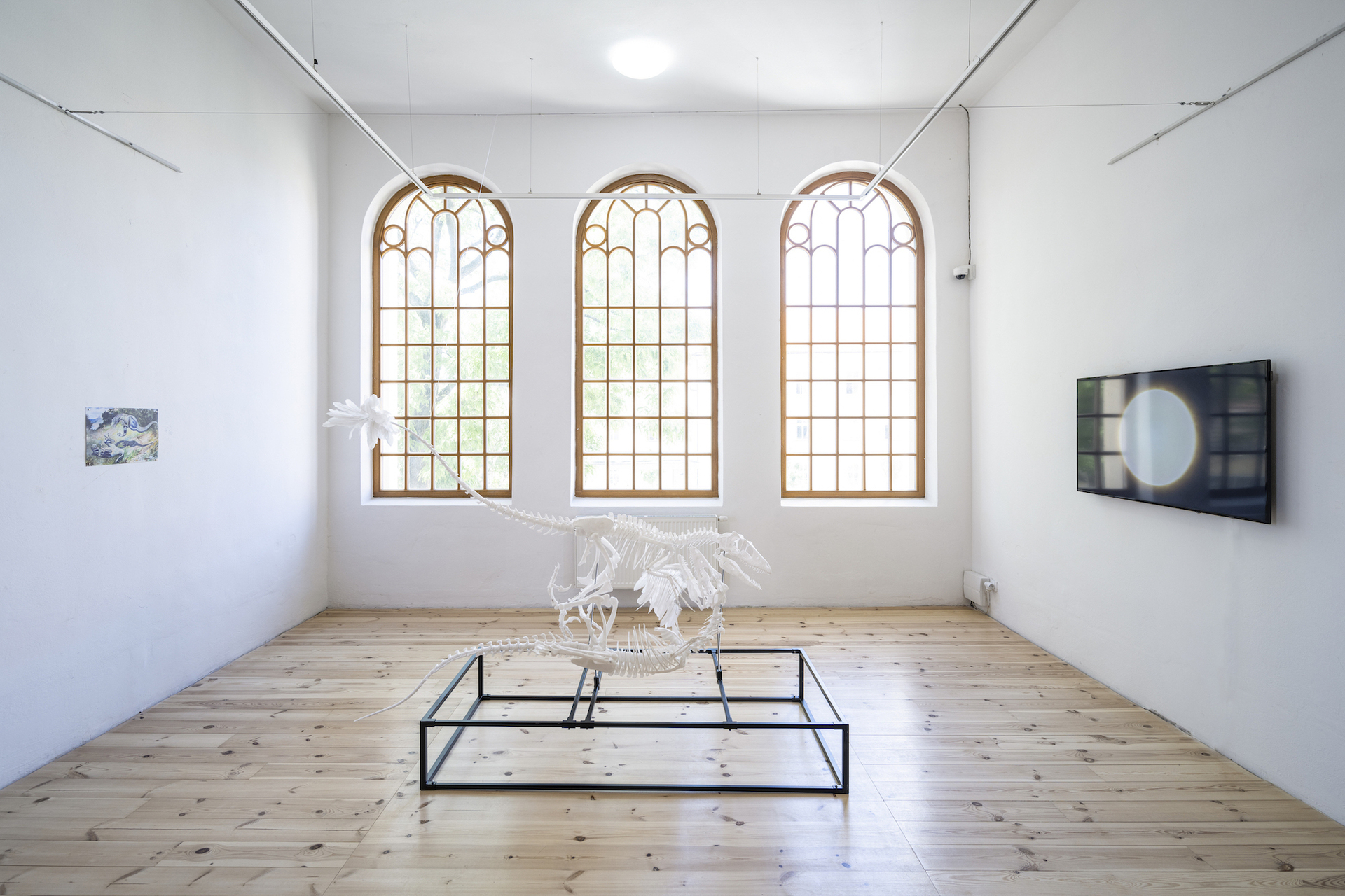 András Cséfalvay – Model for Extinction Survival: Take to the Sky, 2020, installation, 3D print, video, 7:15 min, Variable dimensions