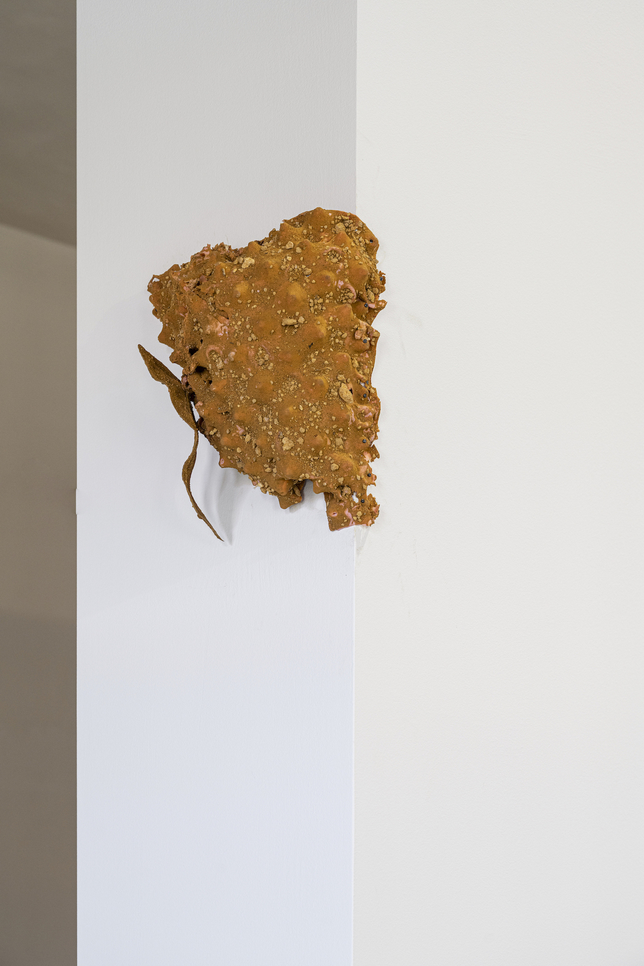 Šimon Chovan – Dear Thearlings, 2019 – 2022, Silicone, soil, plaster, stones, concrete, nails, rust, dust, Variable dimensions (detail)