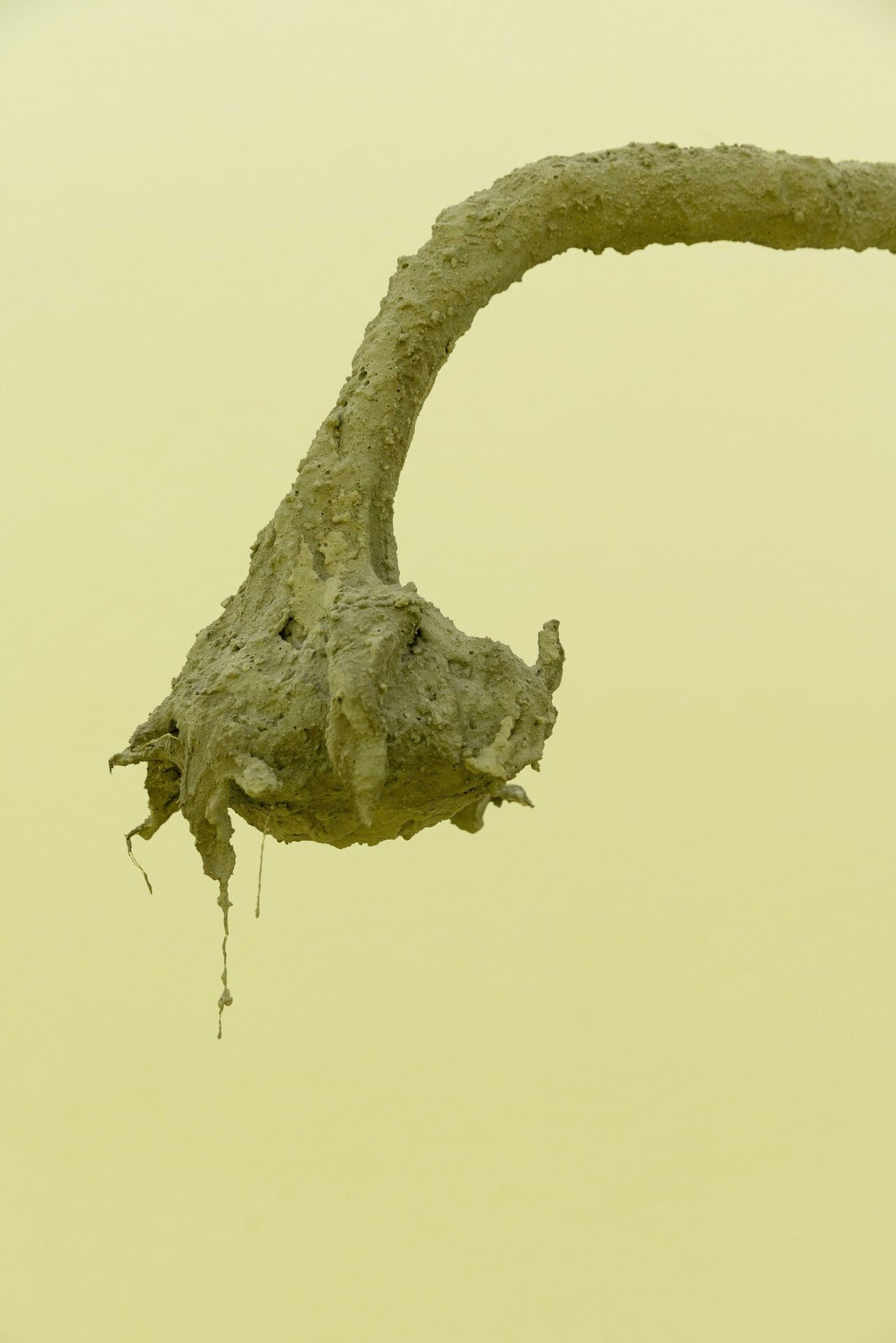 James Lewis - Not just suffering, but all forms of consciousness (Rekindle) (detail), 2022, wood, plaster bandage, concrete, steel, 186x42x77 cm