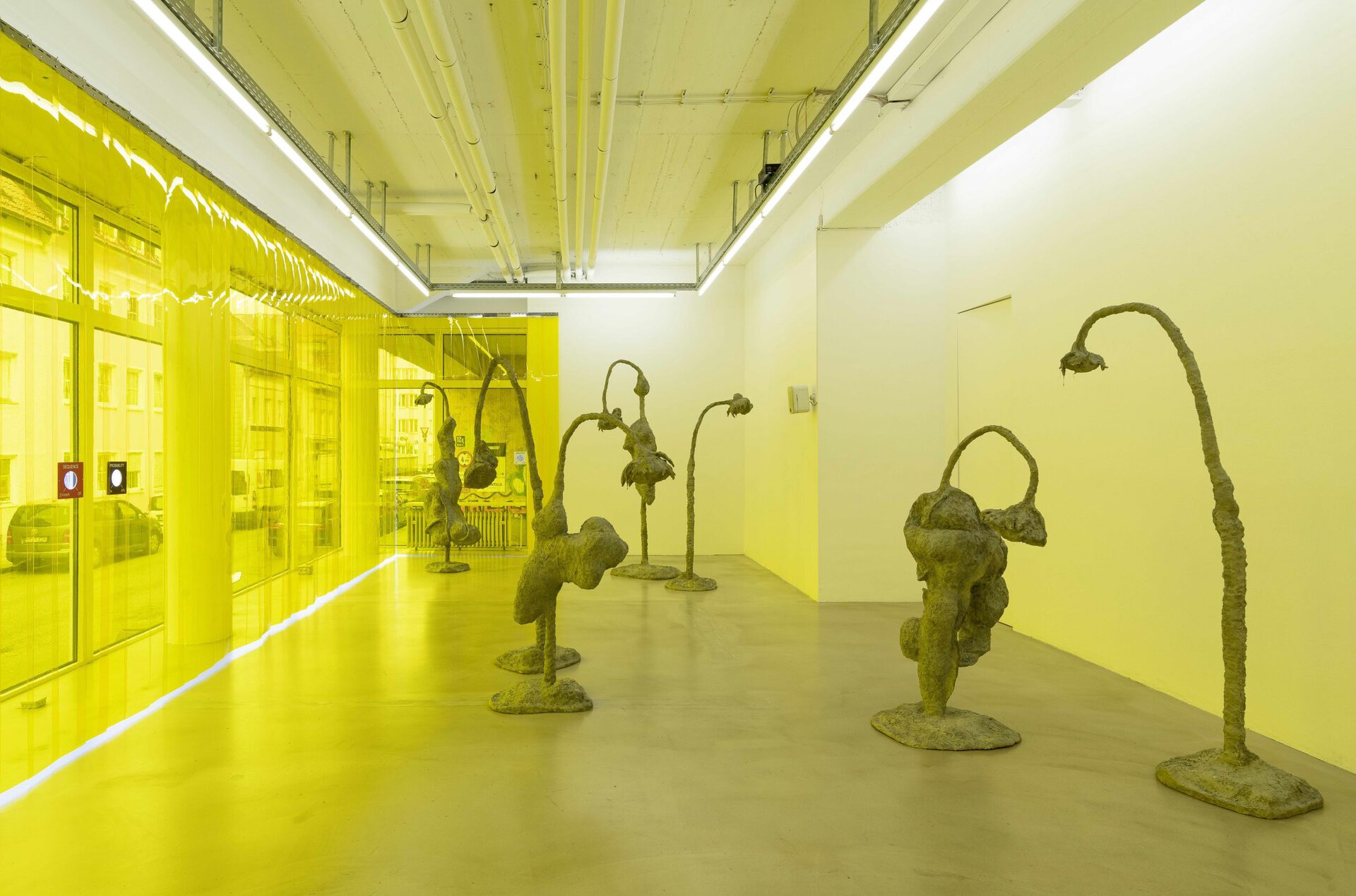 James Lewis - Ruderal - Exhibition view #1