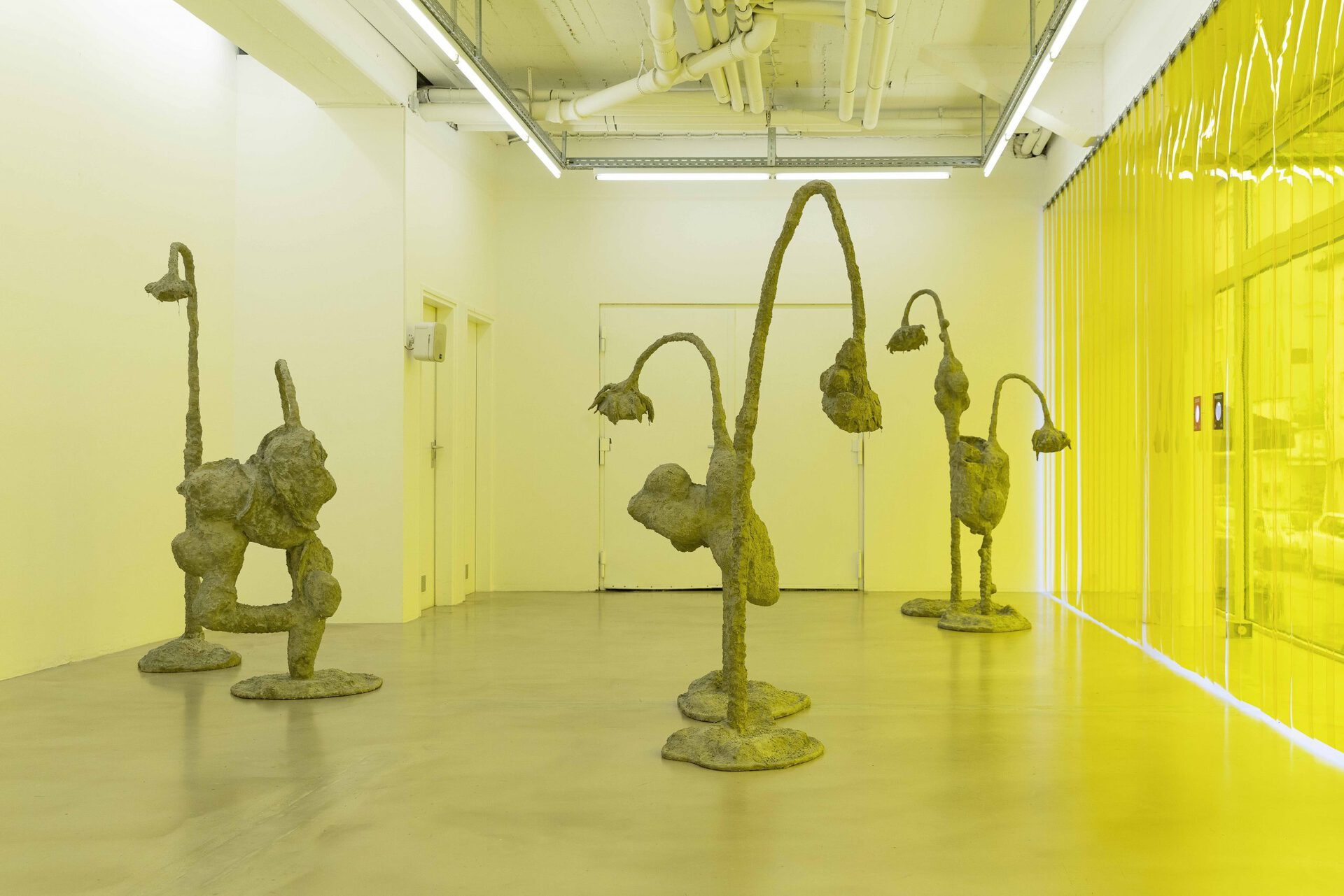 James Lewis - Ruderal - Exhibition view #2