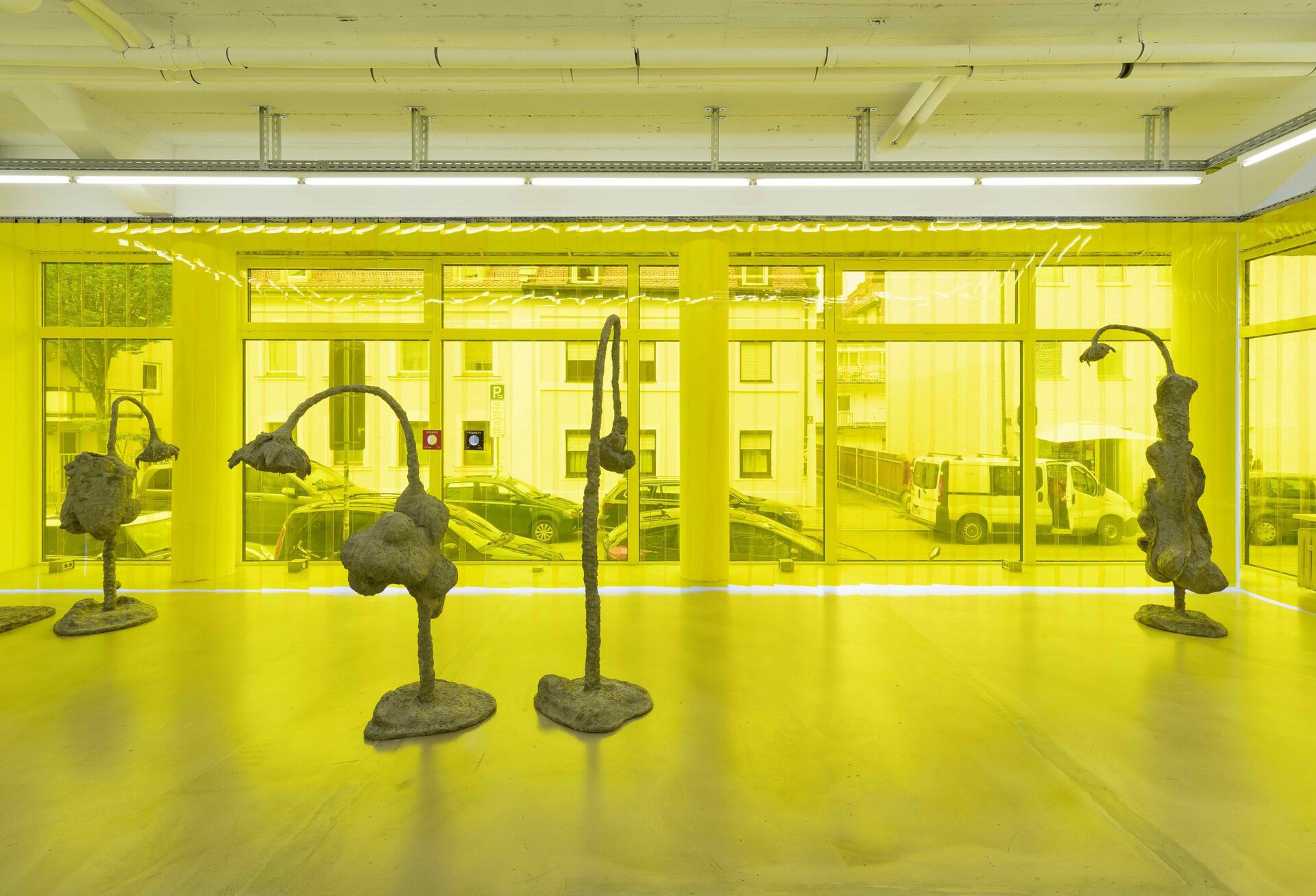 James Lewis - Ruderal - Exhibition view #3