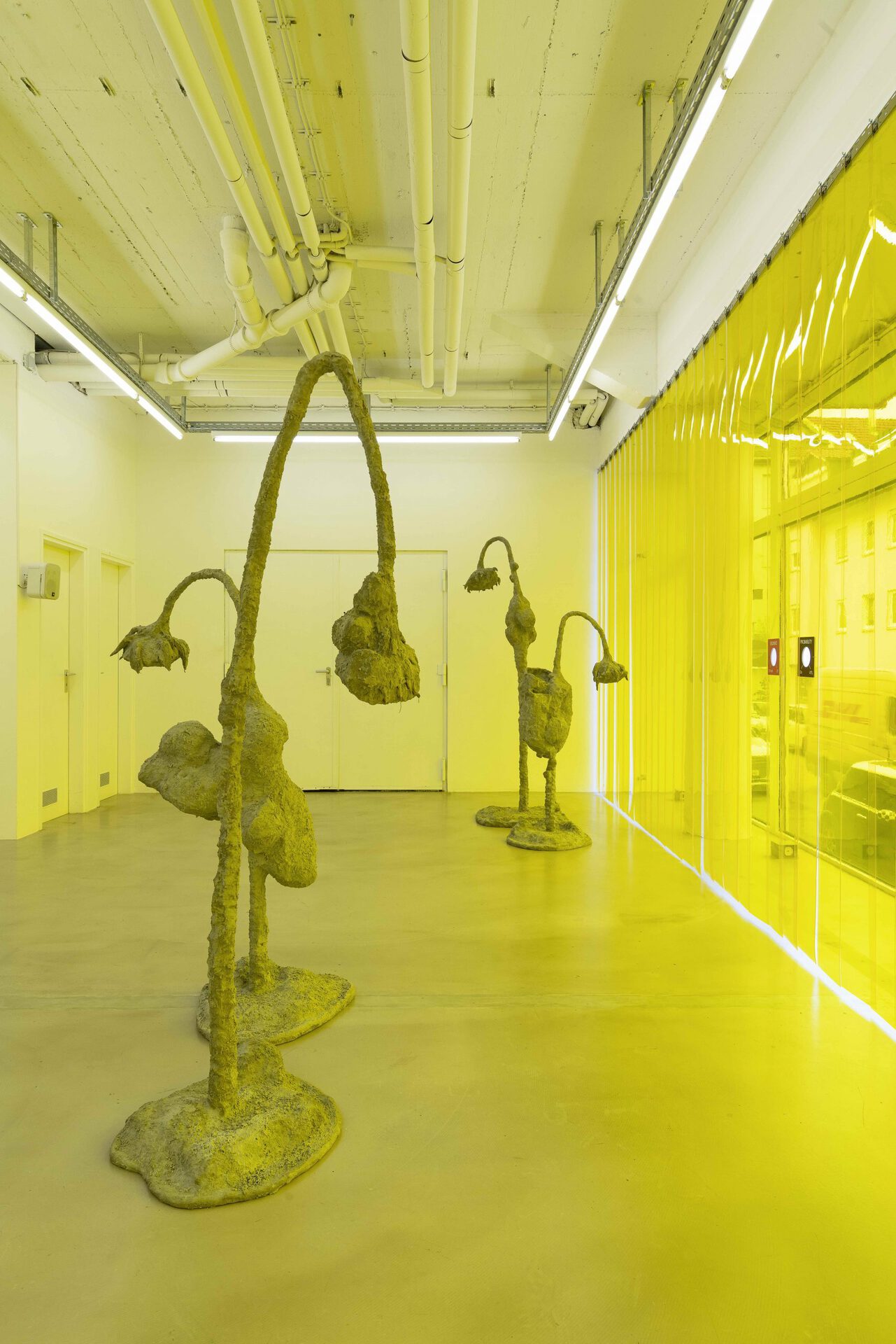 James Lewis - Ruderal - Exhibition view #5