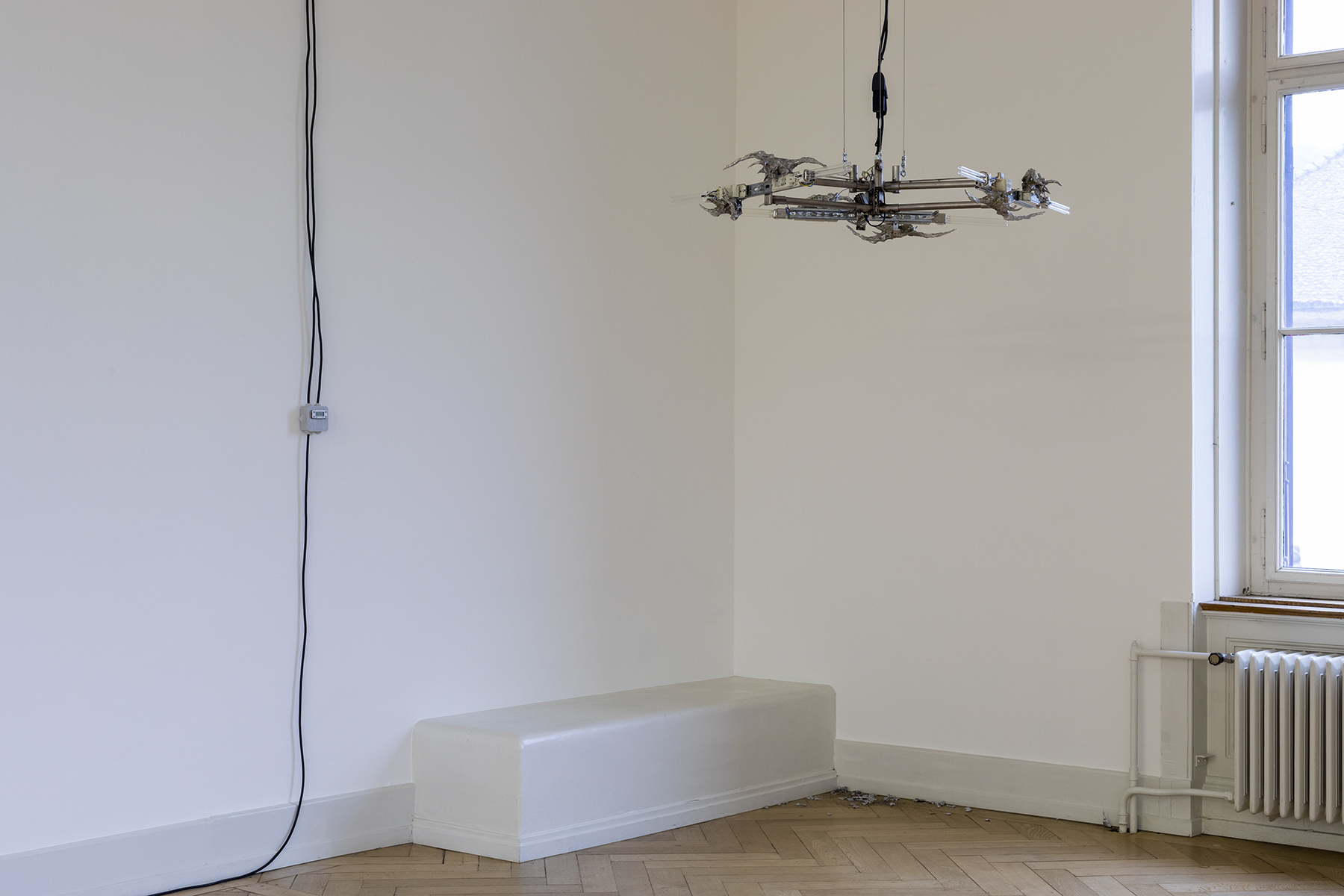 Lorenzo Lunghi, 15 minutes of invisible light, 2022.