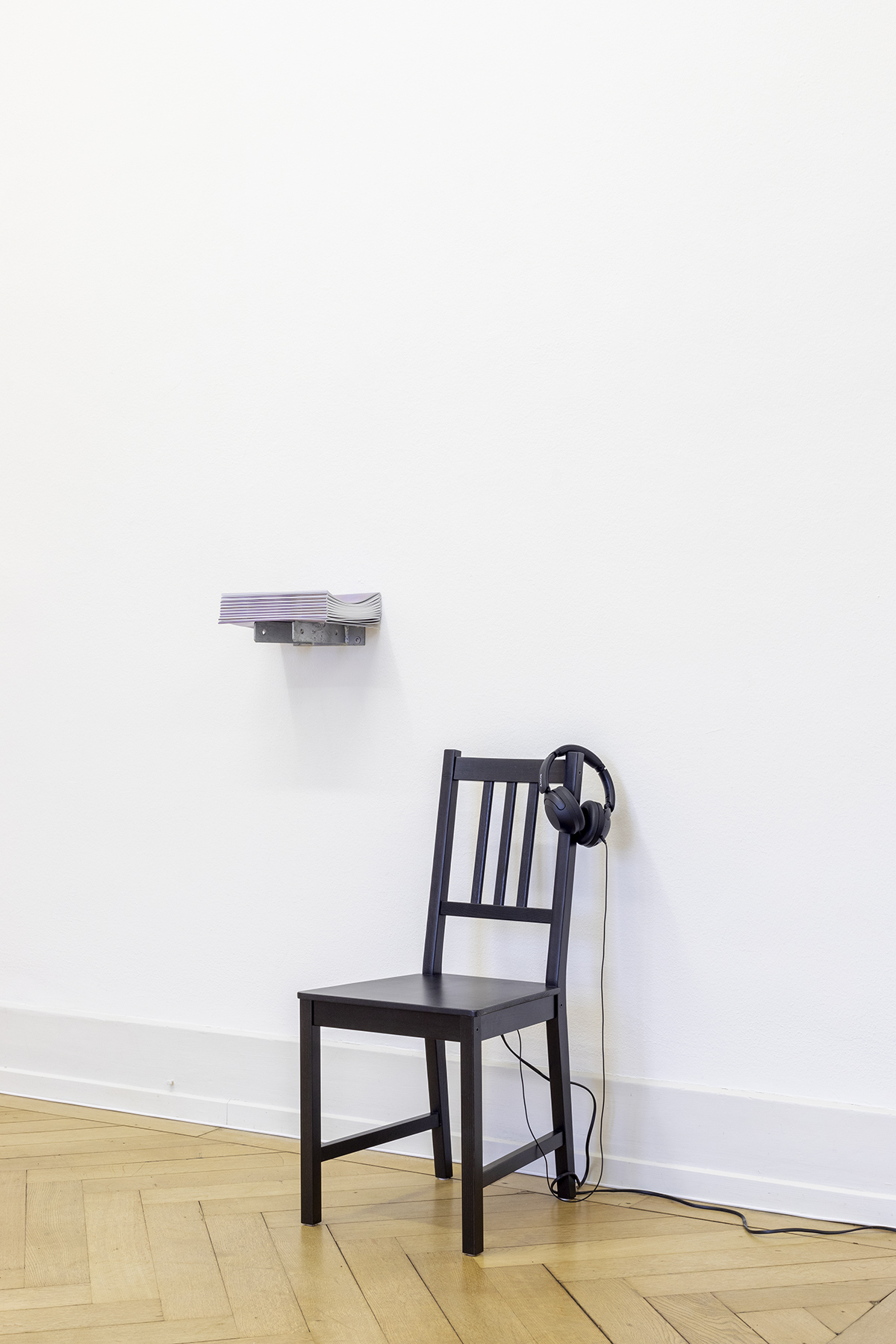 dianita, perhaps disoriented, 2022.