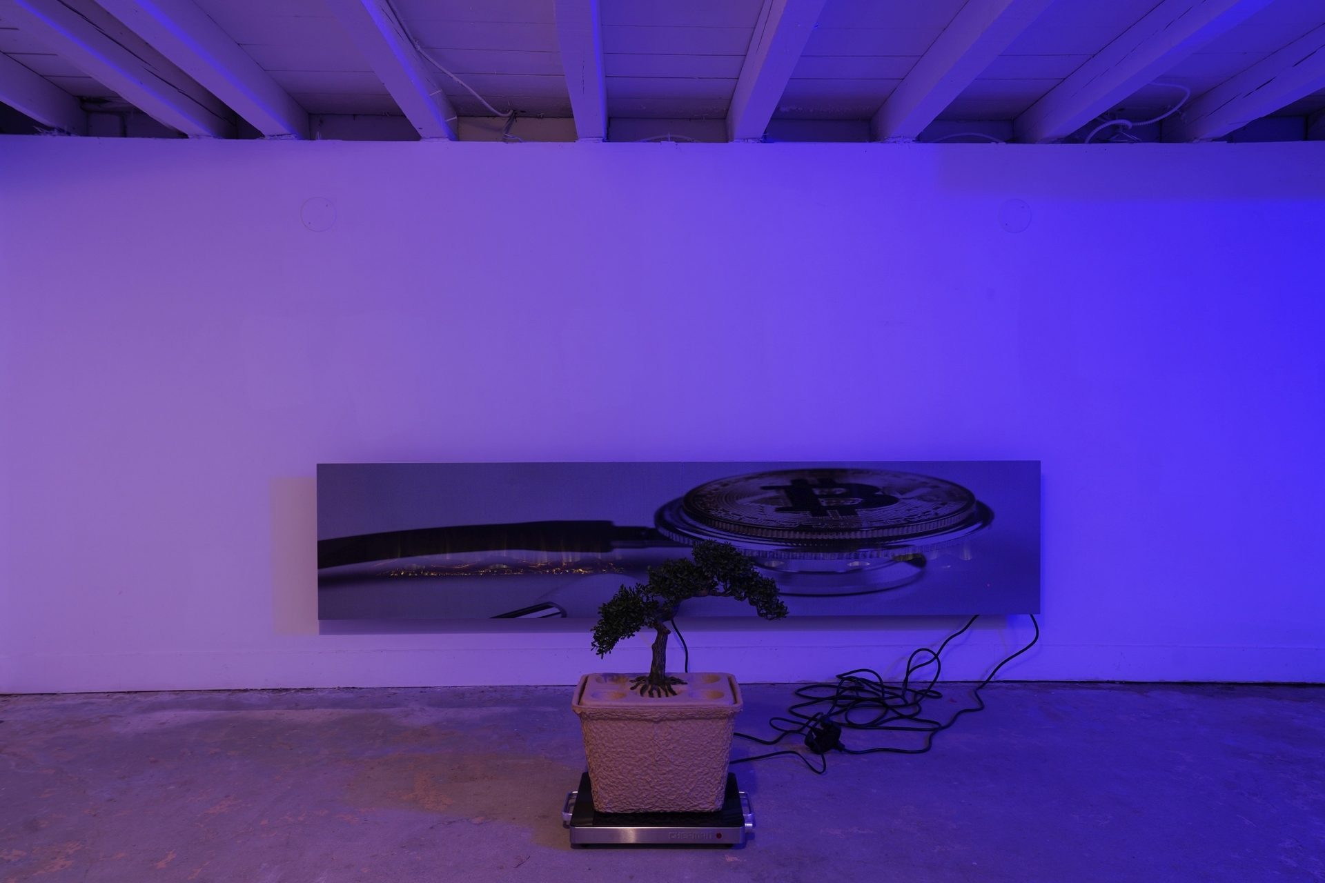 Graham Wiebe, Little-known bitcoin loophole exposed and doctors are not happy, 2022, electric fireplace, perforated vinyl, extension cord, 21.5x101x5.5 in