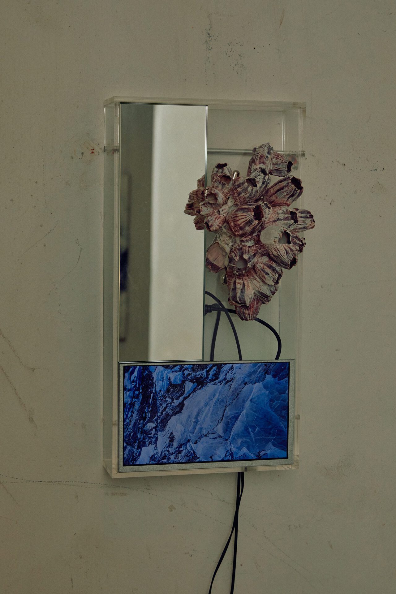 Jay Jermyn, Death and Pixels 002, 2022, Acrylic, Barnacles, LCD screen, Raspberry pi, Mirror, 45 x 25 x 30cm