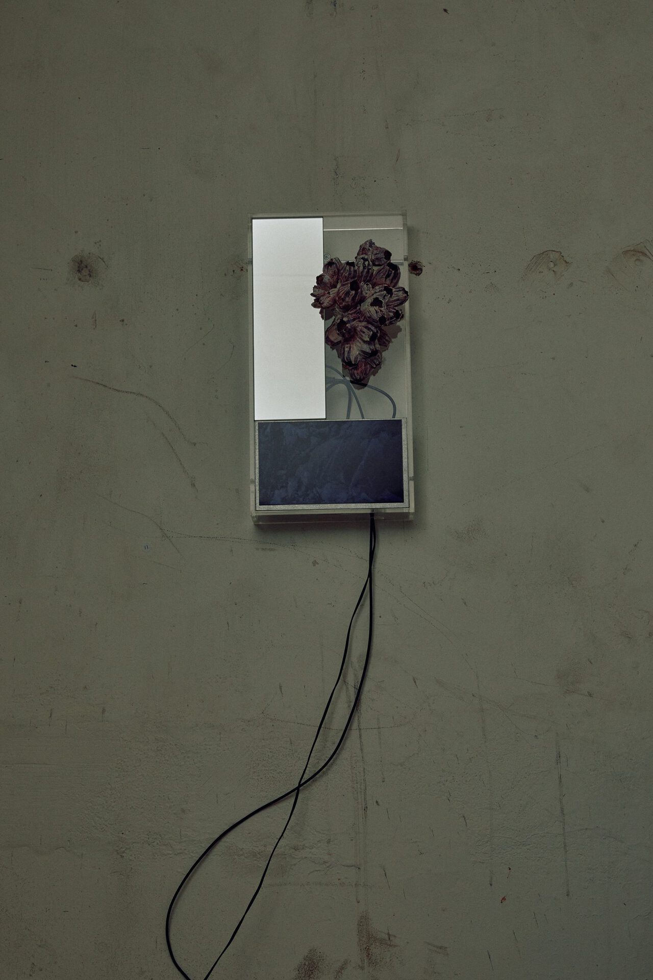 Jay Jermyn, Death and Pixels, 2022, Acrylic, Barnacles, LCD screen, Raspberry pi, Mirror, 45 x 25 x 30cm