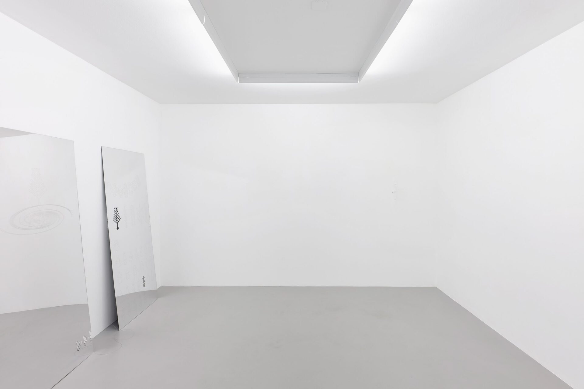 Ceylan Öztrük, Installation view