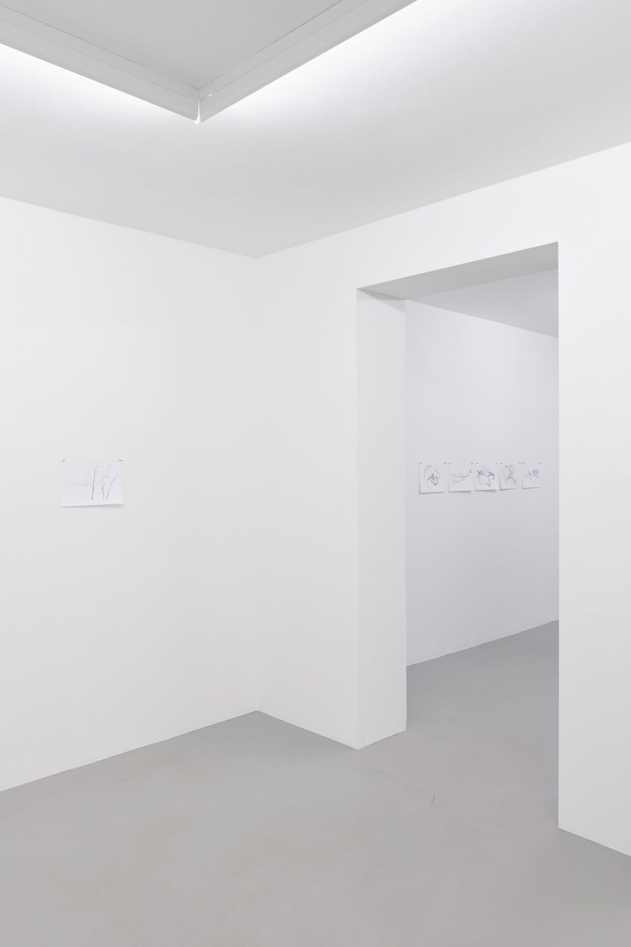 Ceylan Öztrük, Installation view