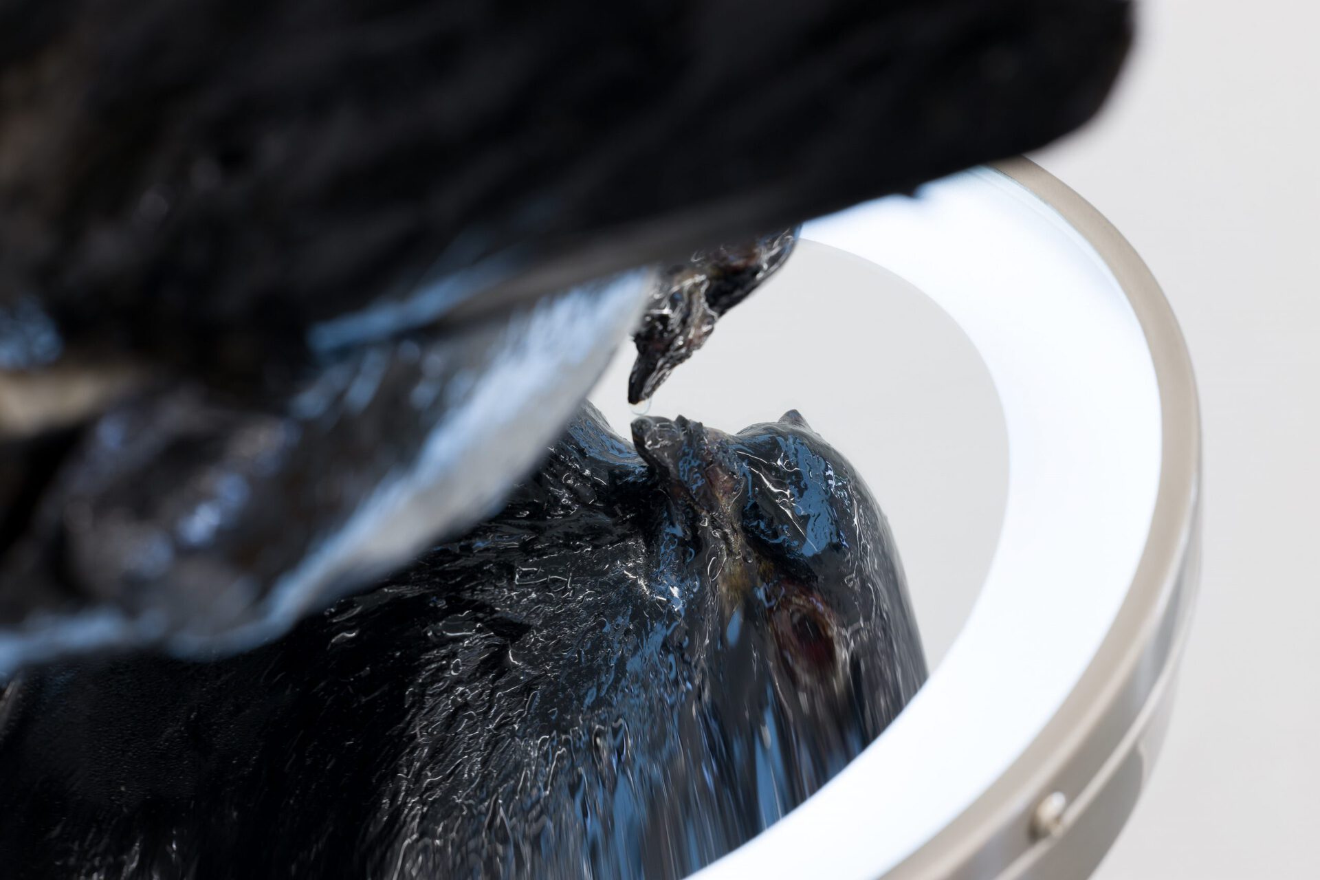 valdemar bisgaard, care and maintenance as a result of misuse or accident, 2022, Vibram sole rubber sheets, Bio resin, dove, Zadro makeup led mirror - stainless steel