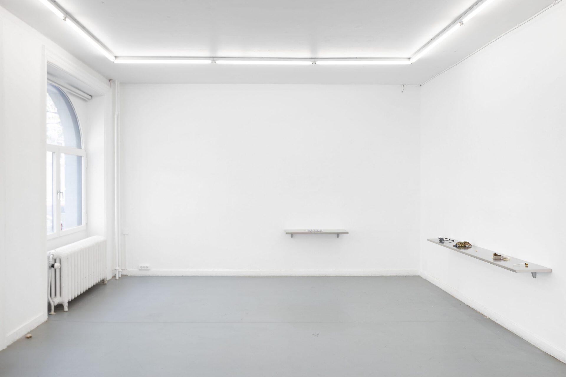 valdemar bisgaard, 5:i:1, 2021, alpine flowers, dental gold bridge, one dollar, Vitry nail scissors, D&K glass pipe, Oakey glasses, Häfele shelf brackets - stainless steel