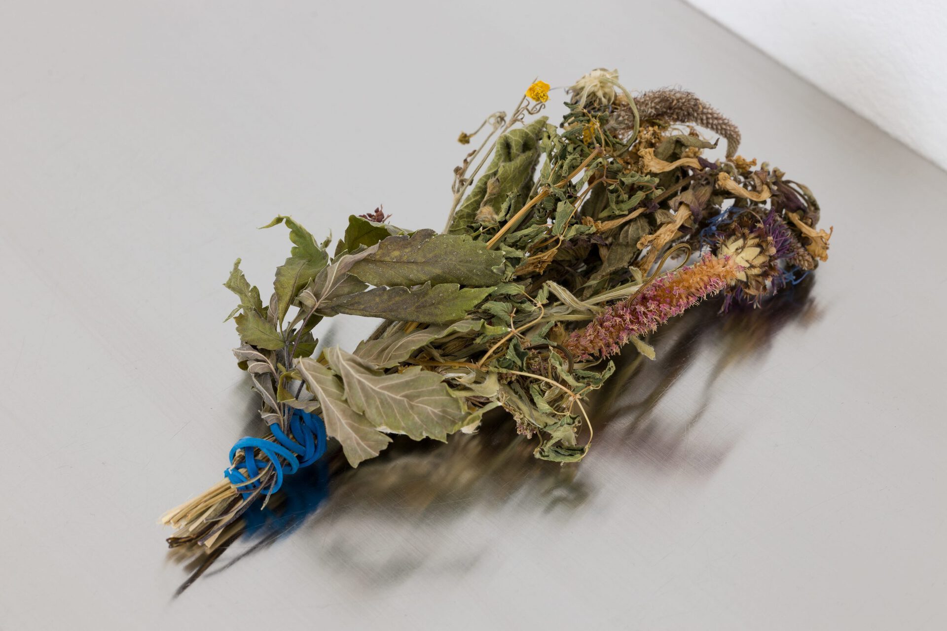 valdemar bisgaard, 5:i:1, 2021, alpine flowers, dental gold bridge, one dollar, Vitry nail scissors, D&K glass pipe, Oakey glasses, Häfele shelf brackets - stainless steel