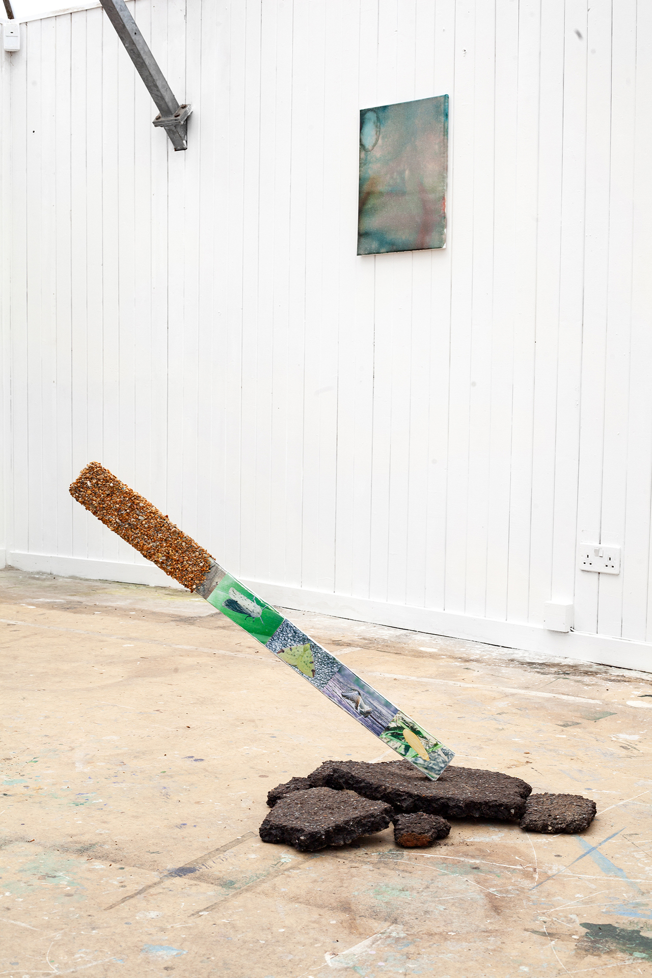 "The what, where, when" 2022, Photographs of moths, wood, pebbles, glue, asphalt. (Vincent Scheers)