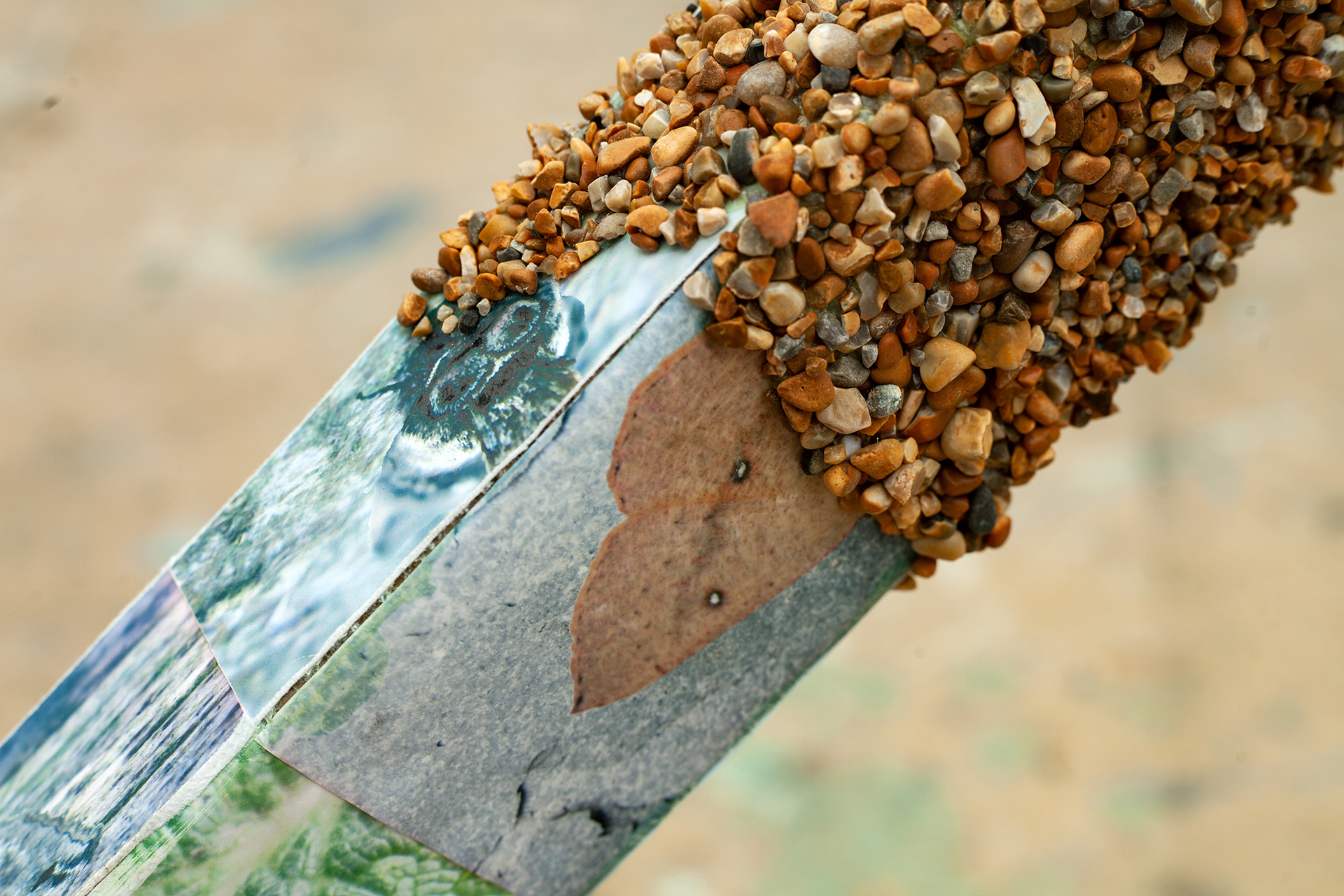 "The what, where, when" 2022, Photographs of moths, wood, pebbles, glue, asphalt. (Detail)