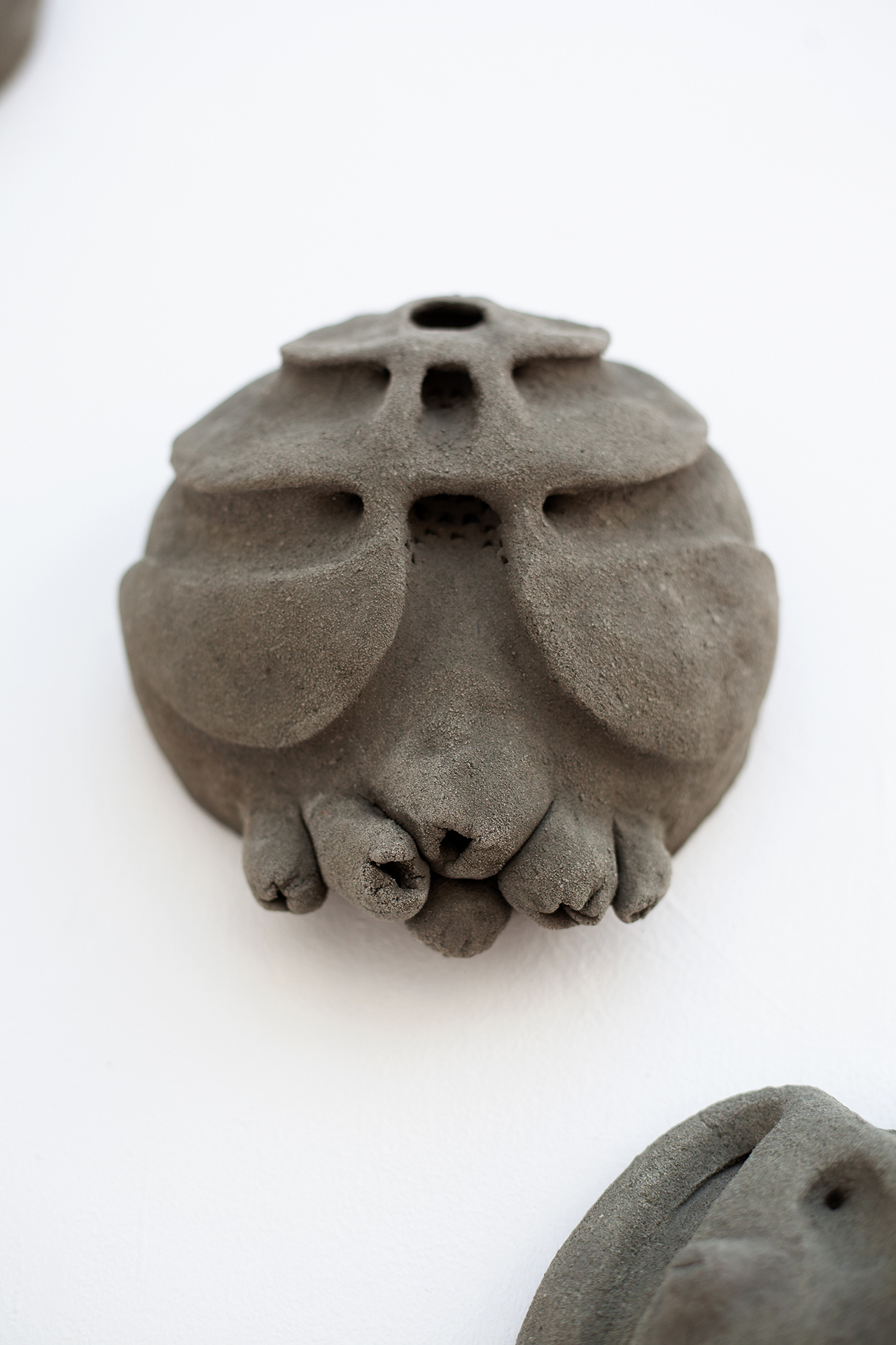 "future fossils" 2022, greensand. (detail)