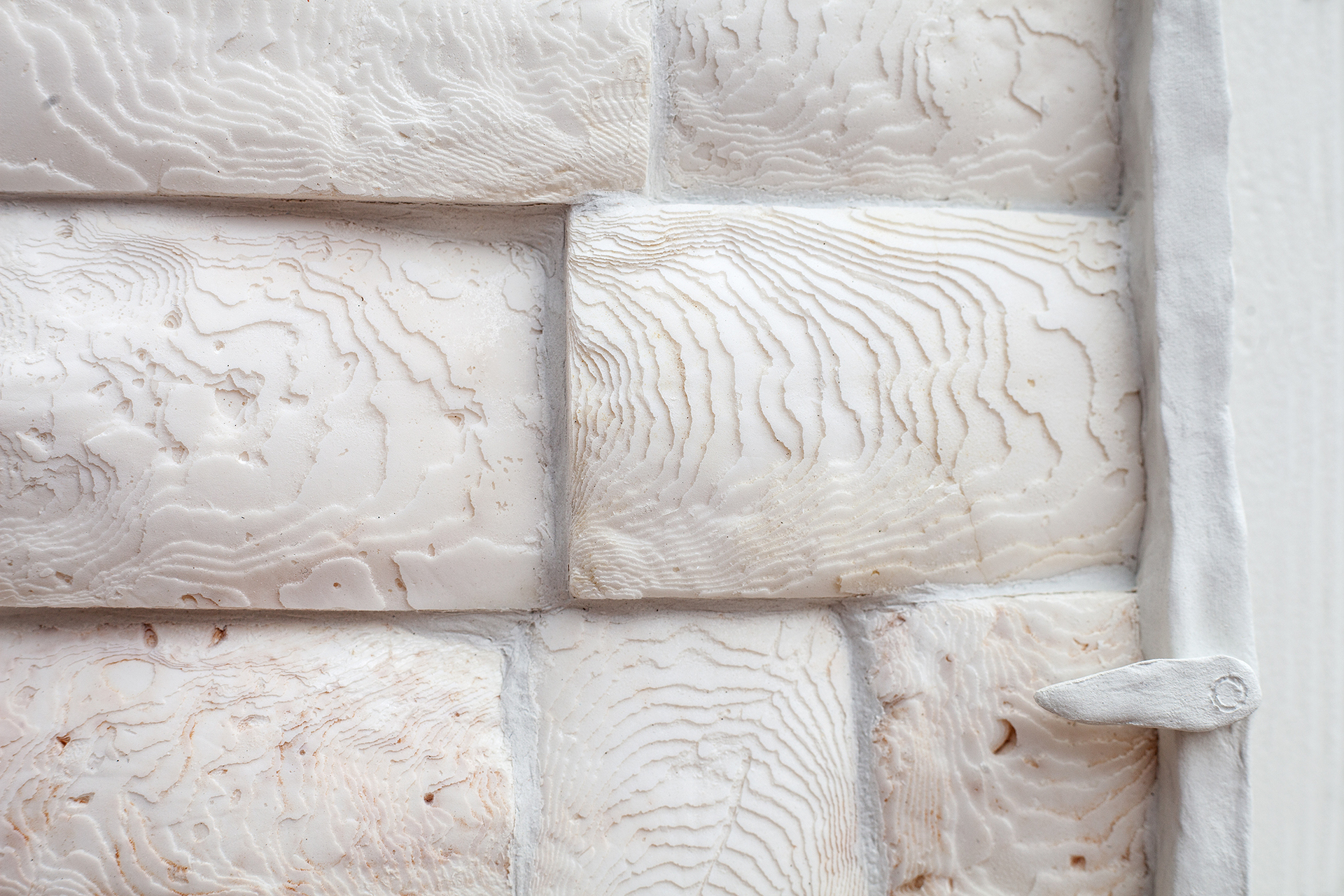 "time warp (Isle of Wight) II" 2022, clay, plywood, cuttlebone. (detail)