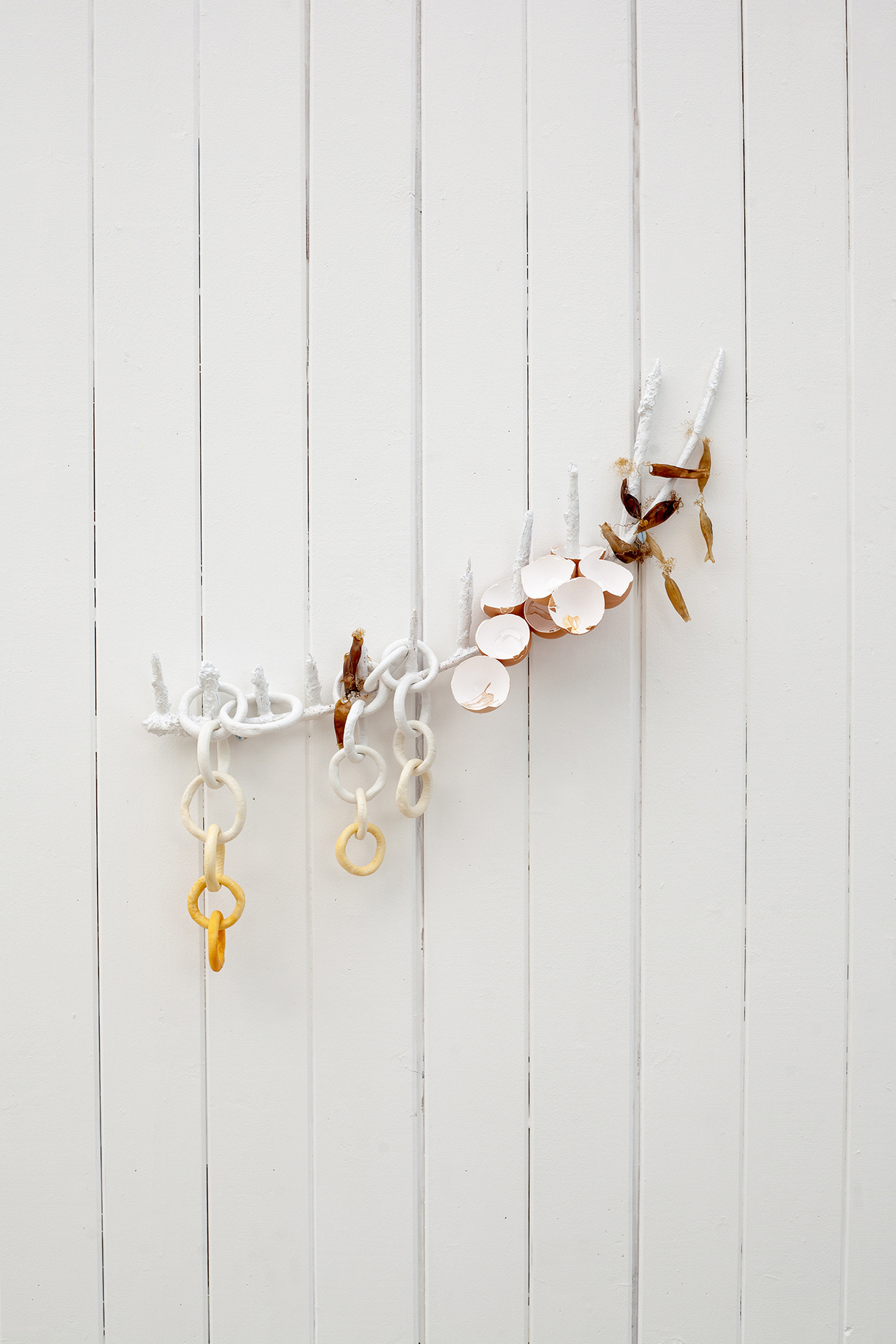 "egg tooth" 2022, catshark and chicken eggshells, metal, laquer, clay, aquarel. (Sarah Doerfel)