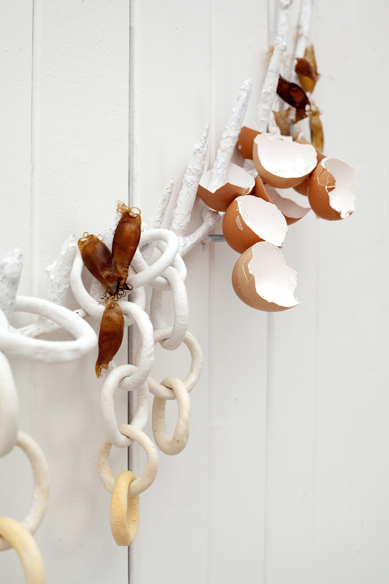 "egg tooth" 2022, catshark and chicken eggshells, metal, laquer, clay, aquarel paint. (Detail)
