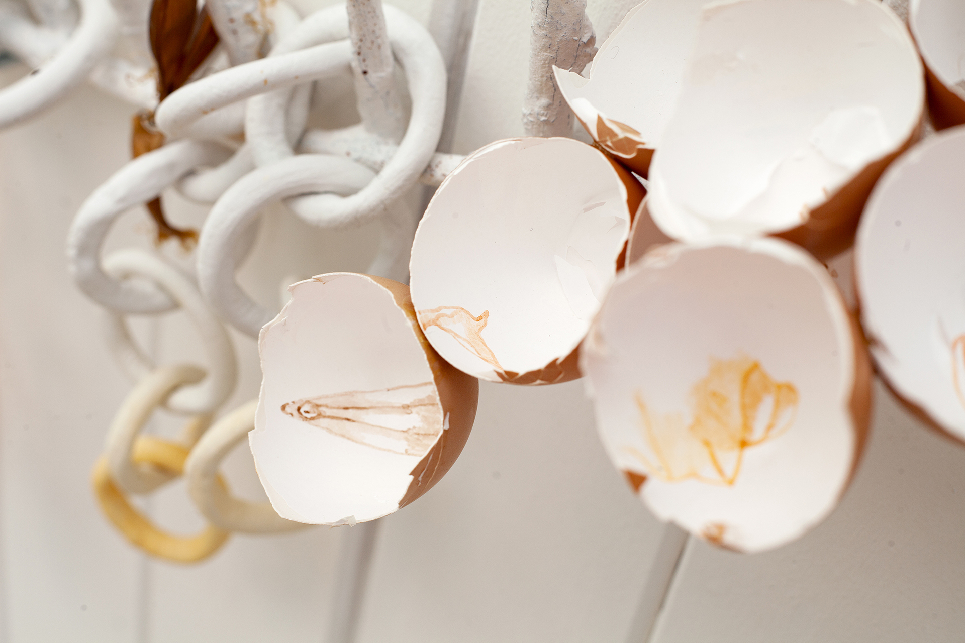 "egg tooth" 2022, catshark and chicken eggshells, metal, laquer, clay, aquarel paint. (Detail)