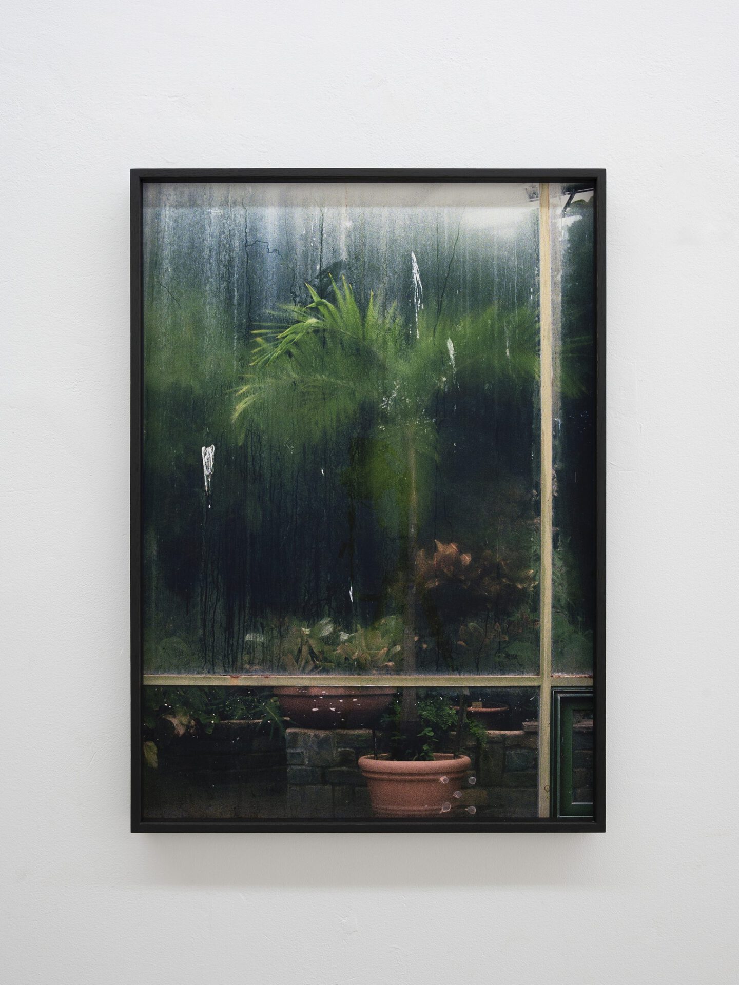 You dreamed of sun and rain, 2022, Inkjet print, 72 x 51 cm
