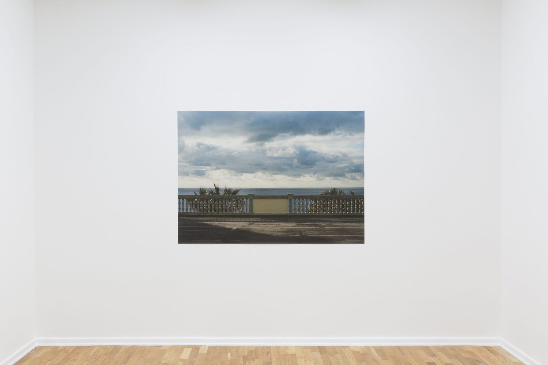 Diamante, 2022, Inkjet print on newspaper, 155 x 111 cm