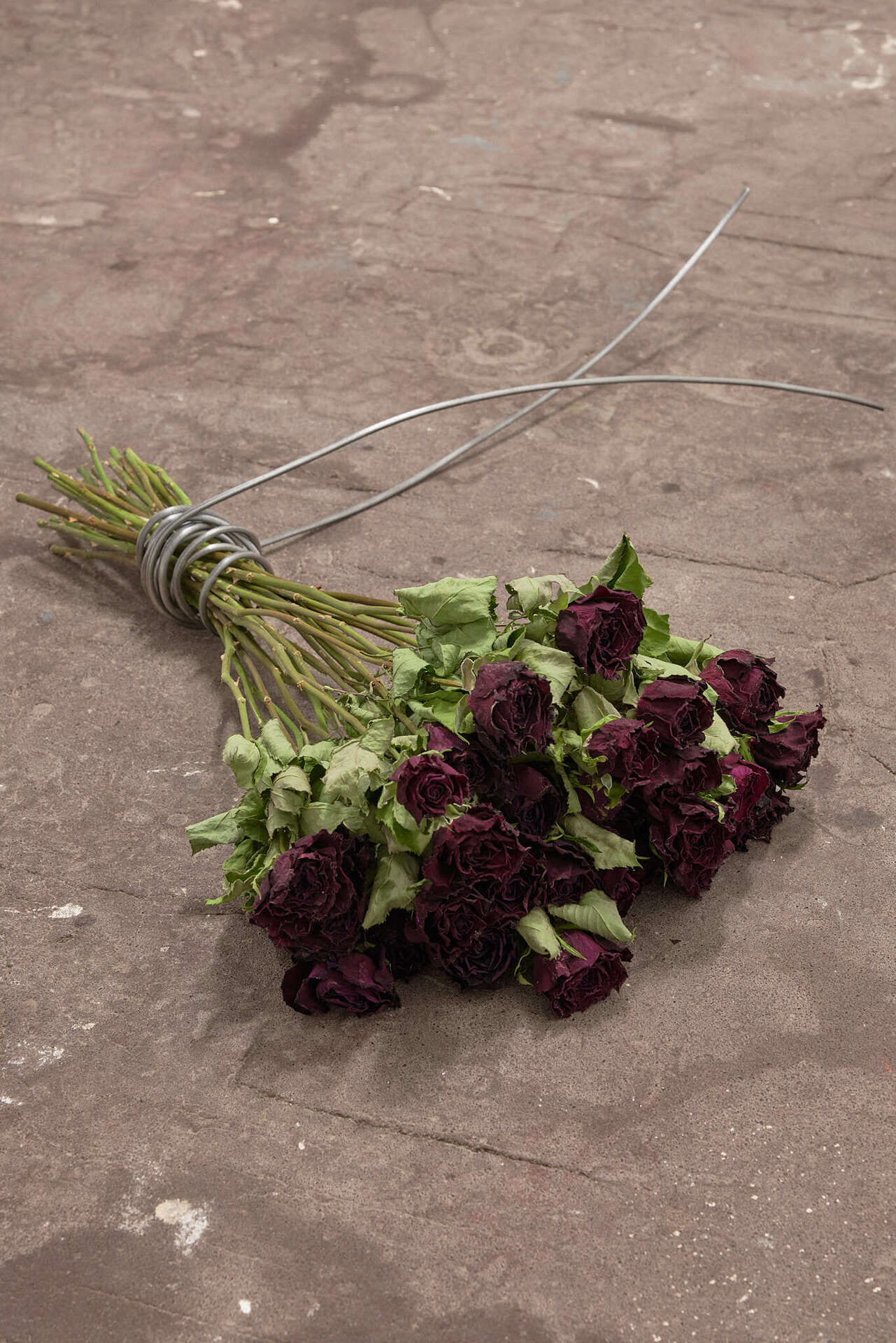 Eliyah Mesayer & Julie Stavad, The King and the Jinn, 2022, installation, 16