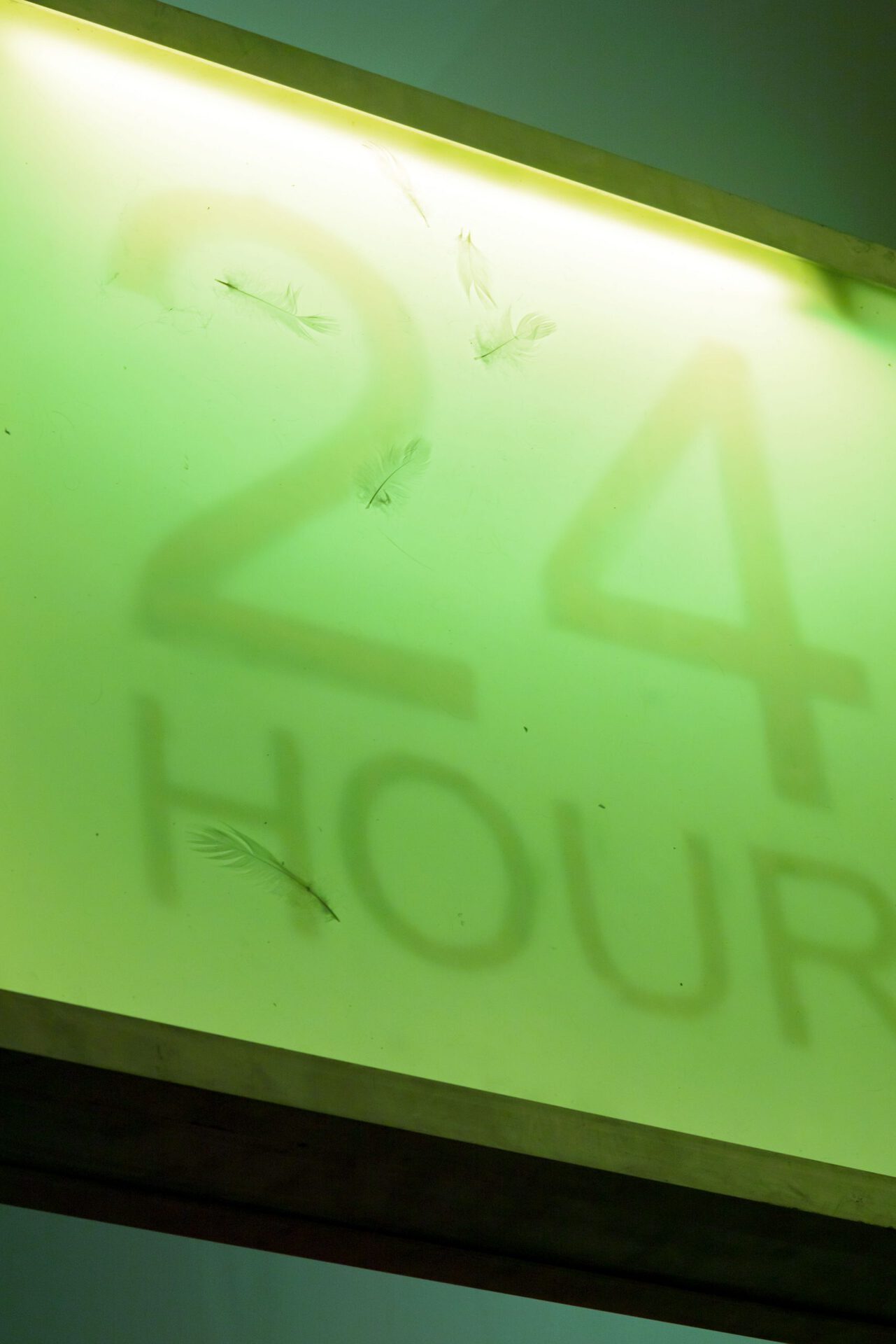 Eva Gold, The Last Cowboys, Ginny on Frederick, 2022