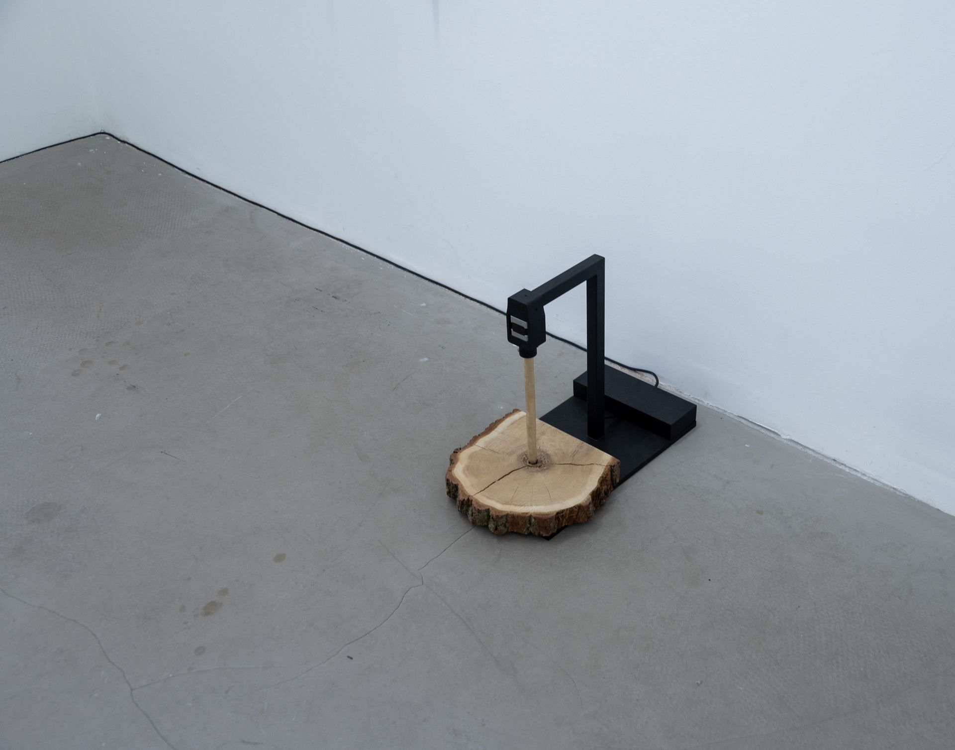 Jens Tiemann; make fire!; 2022; wood, paper, metal, electronic, code; wood sticks (wall: 2000x3000mm), machine (500x450x200mm)