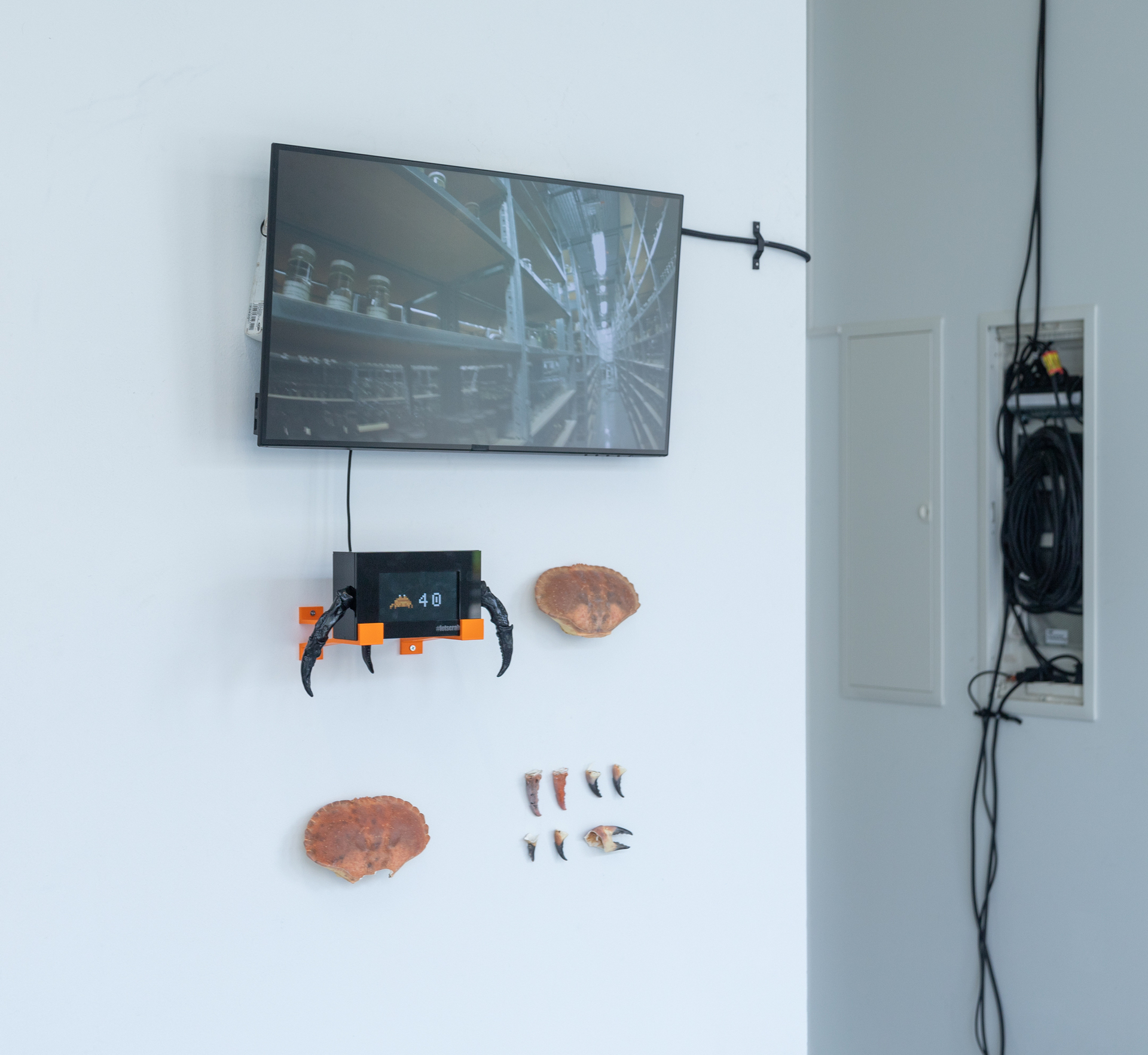 Zoe Spehr; Let's get crabby!; 2022; Plexiglass, Fimo, screen, raspberry pi 4, crabs; 800x520x100mm