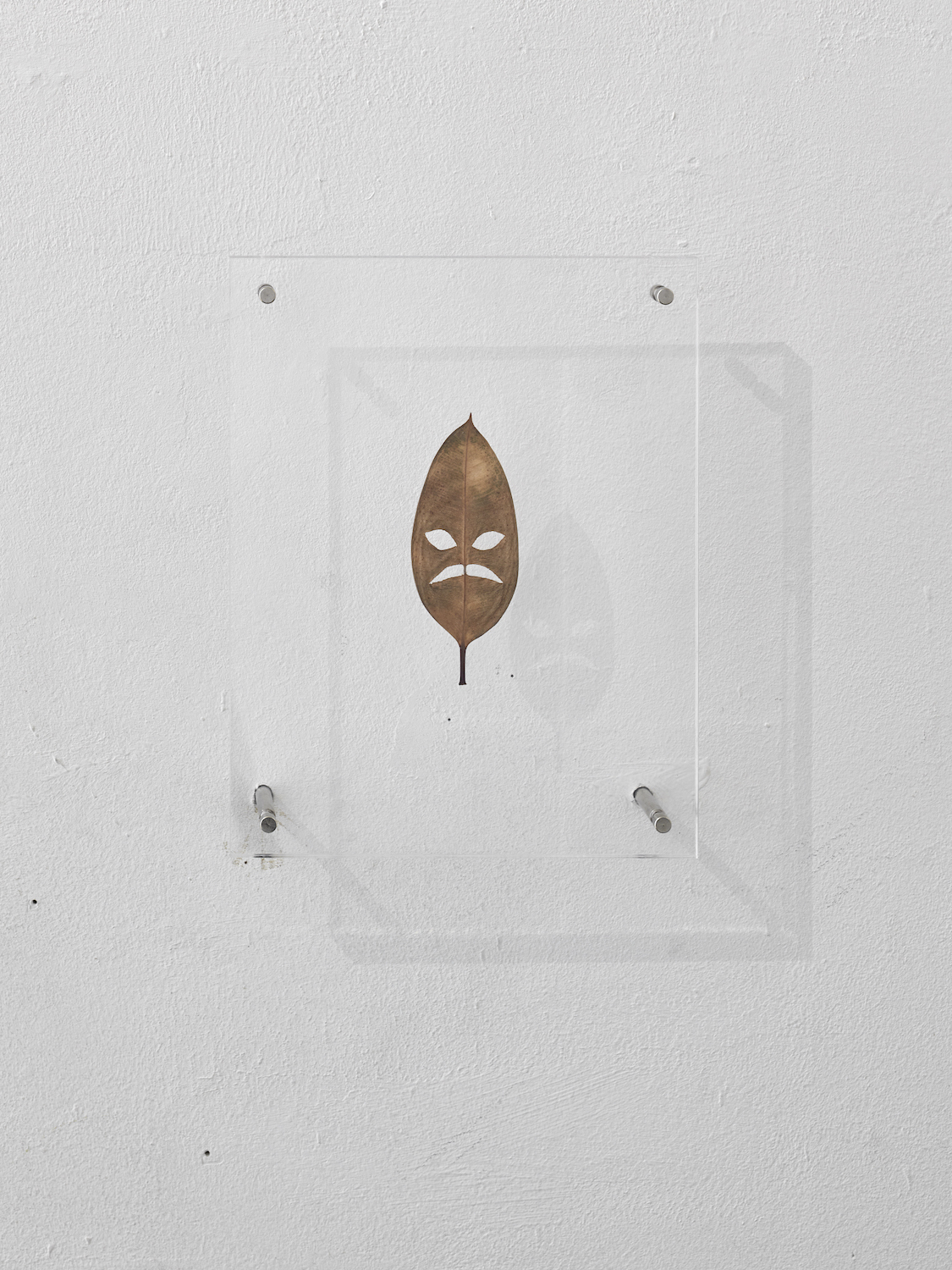 Mikkel Carlsen, Suspended leaf