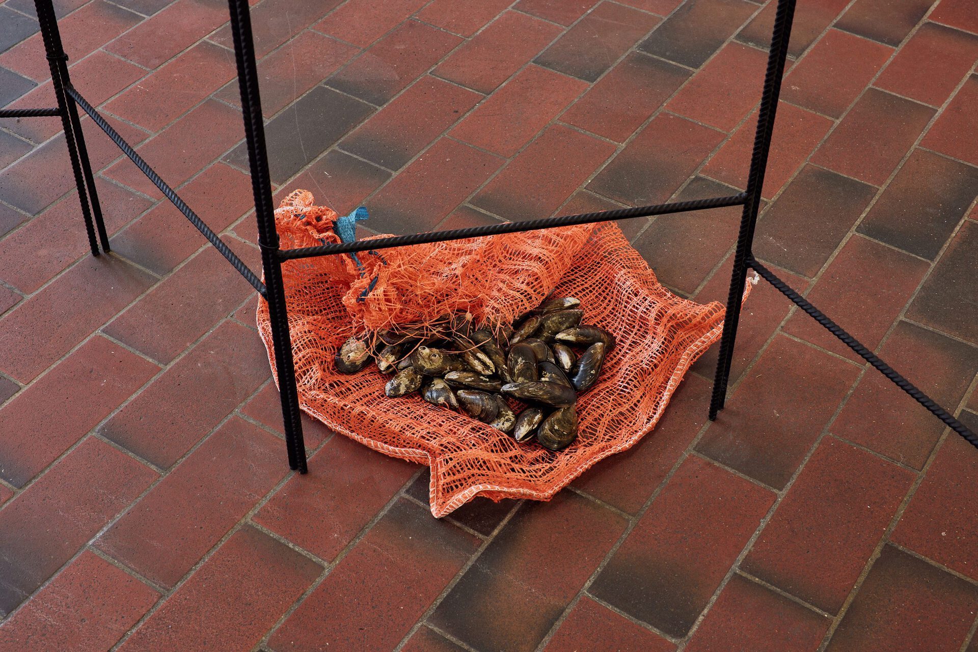 Edit Oderbolz, Horizontal Parallels (Detail), 2022