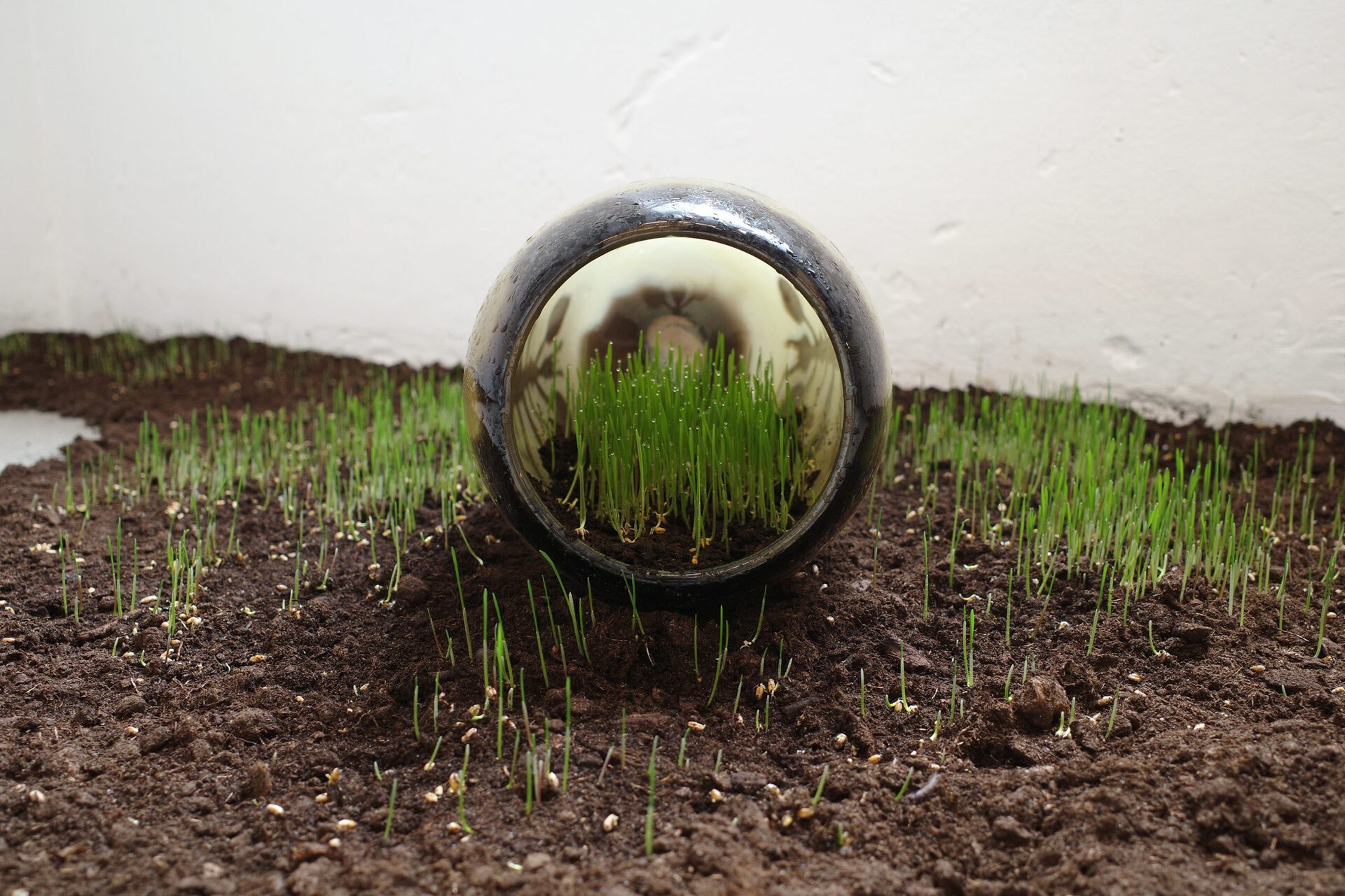 Anders Aarvik, untitled (capsule), 2022, graal glass, soil, wheat seeds, 30x50cm