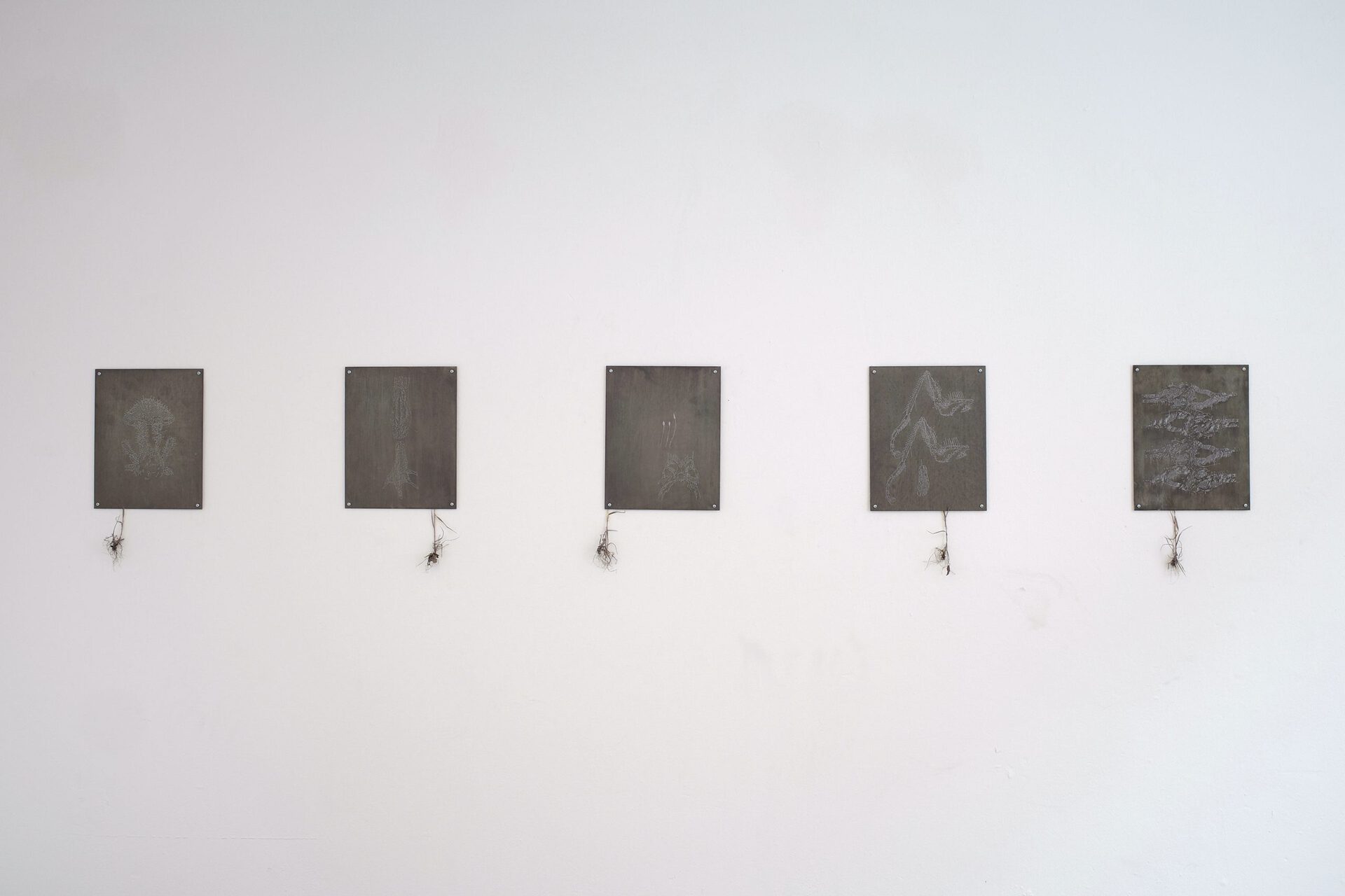 Anders Aarvik, untitled (cohesion), 2022, etched zinc, screws, grassroot, 10x 24x30cm