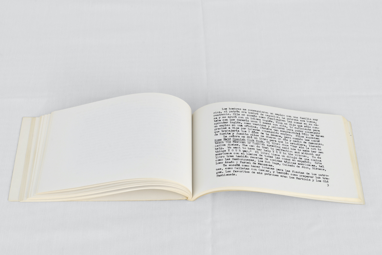 RA Walden: feladŷifâ (detail), 2022. Courtesy the artist. Photo: Franziska von den Driesch