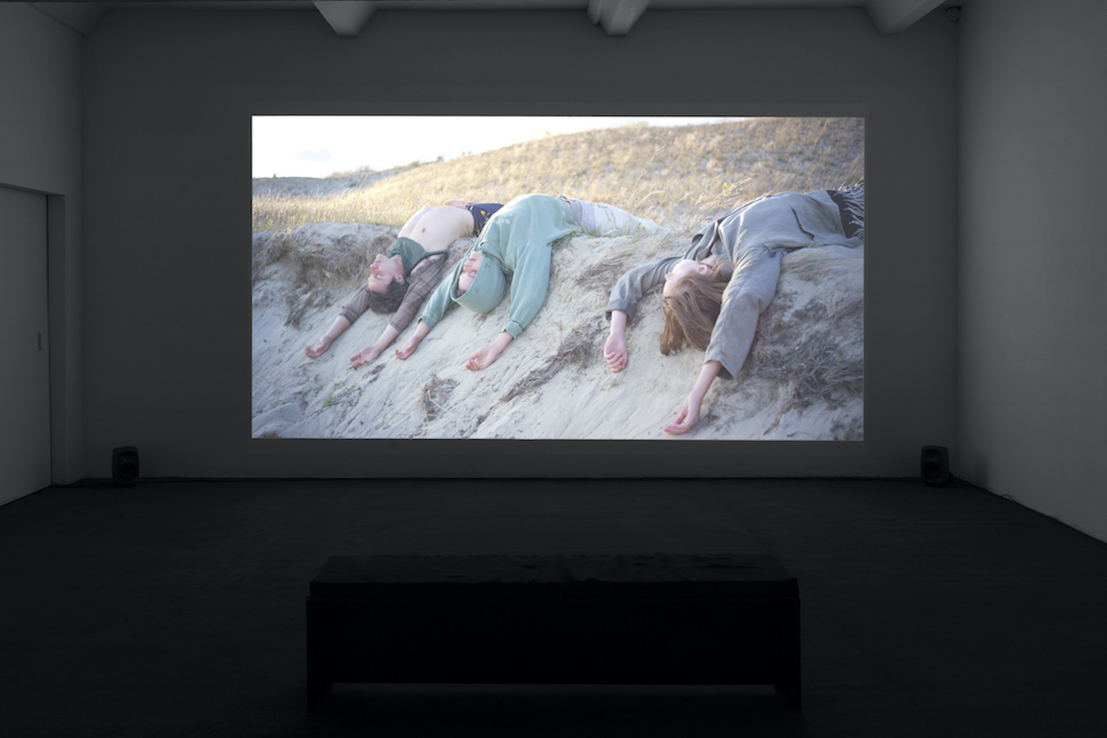 RA Walden: feladŷifâ (detail), 2022. Courtesy the artist. Photo: Franziska von den Driesch
