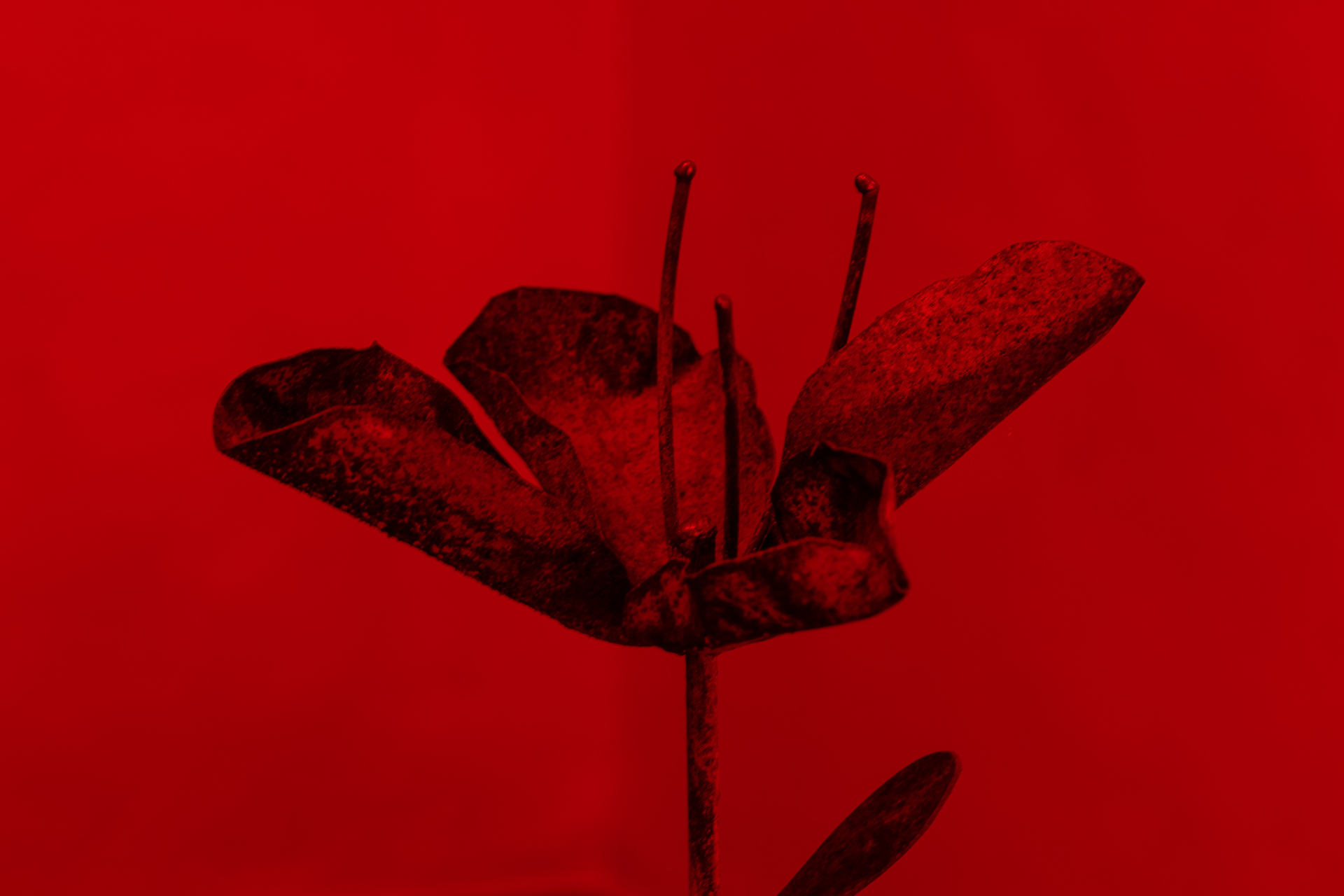 Aleksandra Liput, “Foul Air”, 2022, installation, ceramics, earth, metal