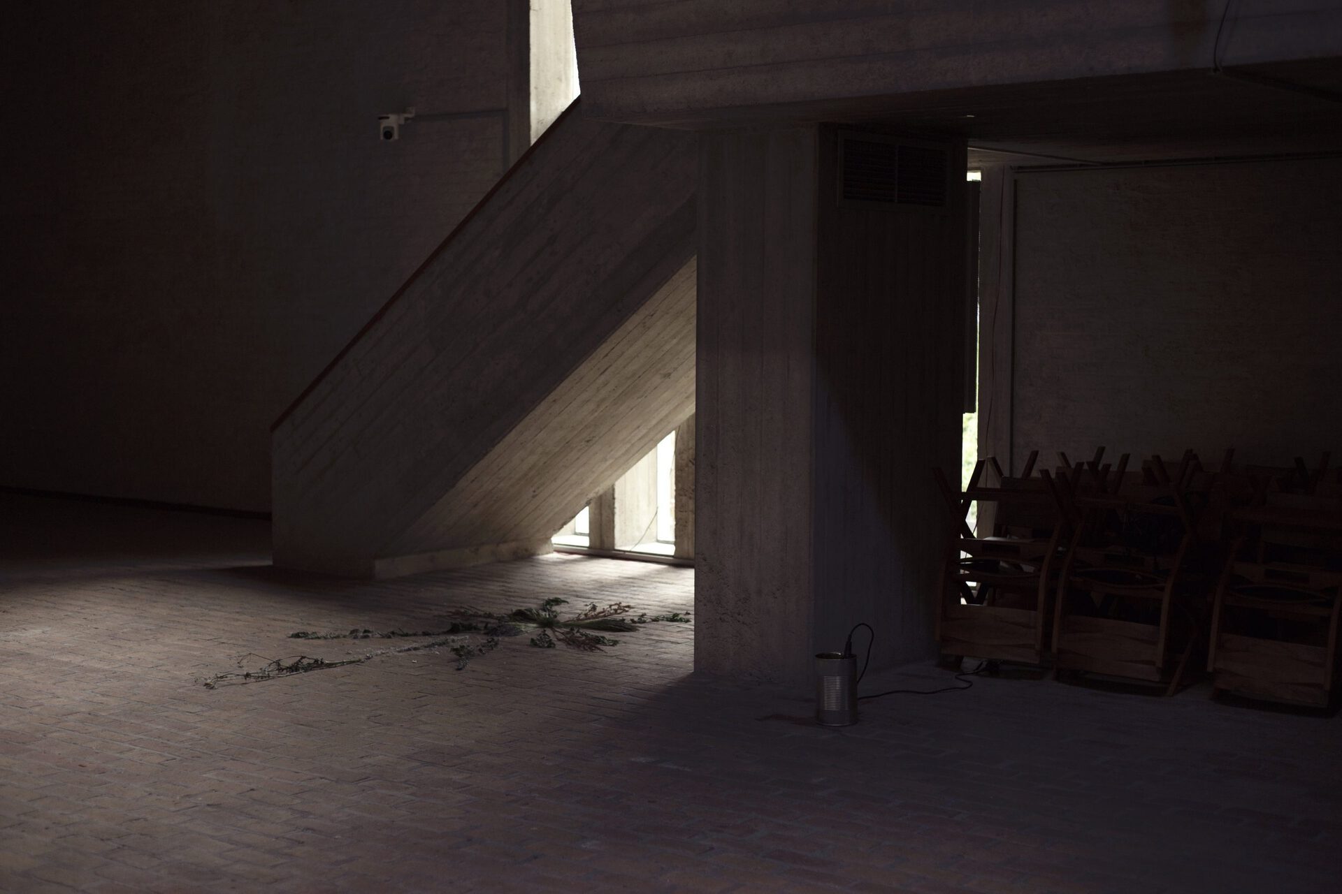 iida-simon in collaboration with morgane fontaine and pauline millet, weeds, 2022, installation, 200cmx100cm