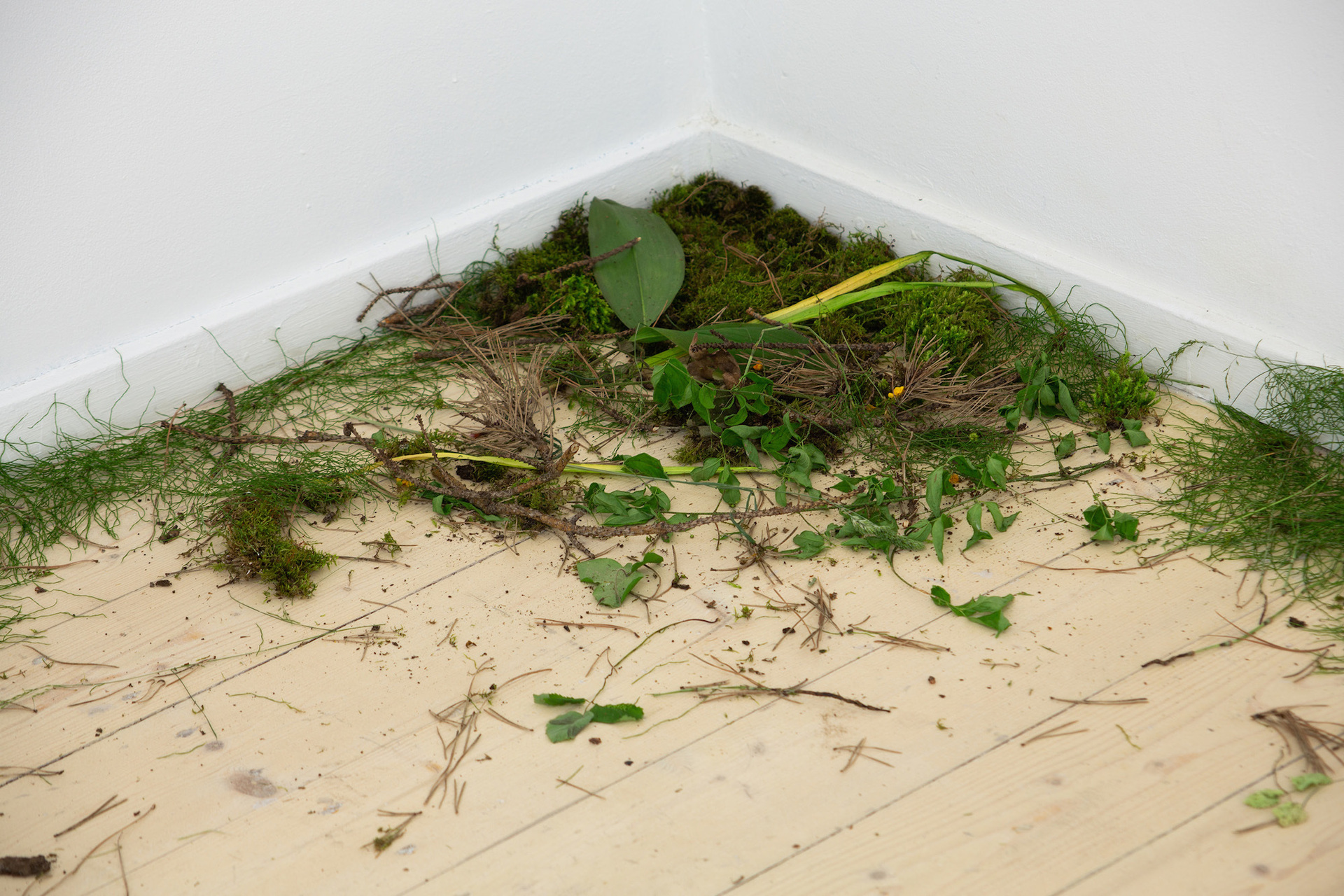 Kaspars Groševs, The Old Man GoesHome, 2022. Exhibition view atEditorial