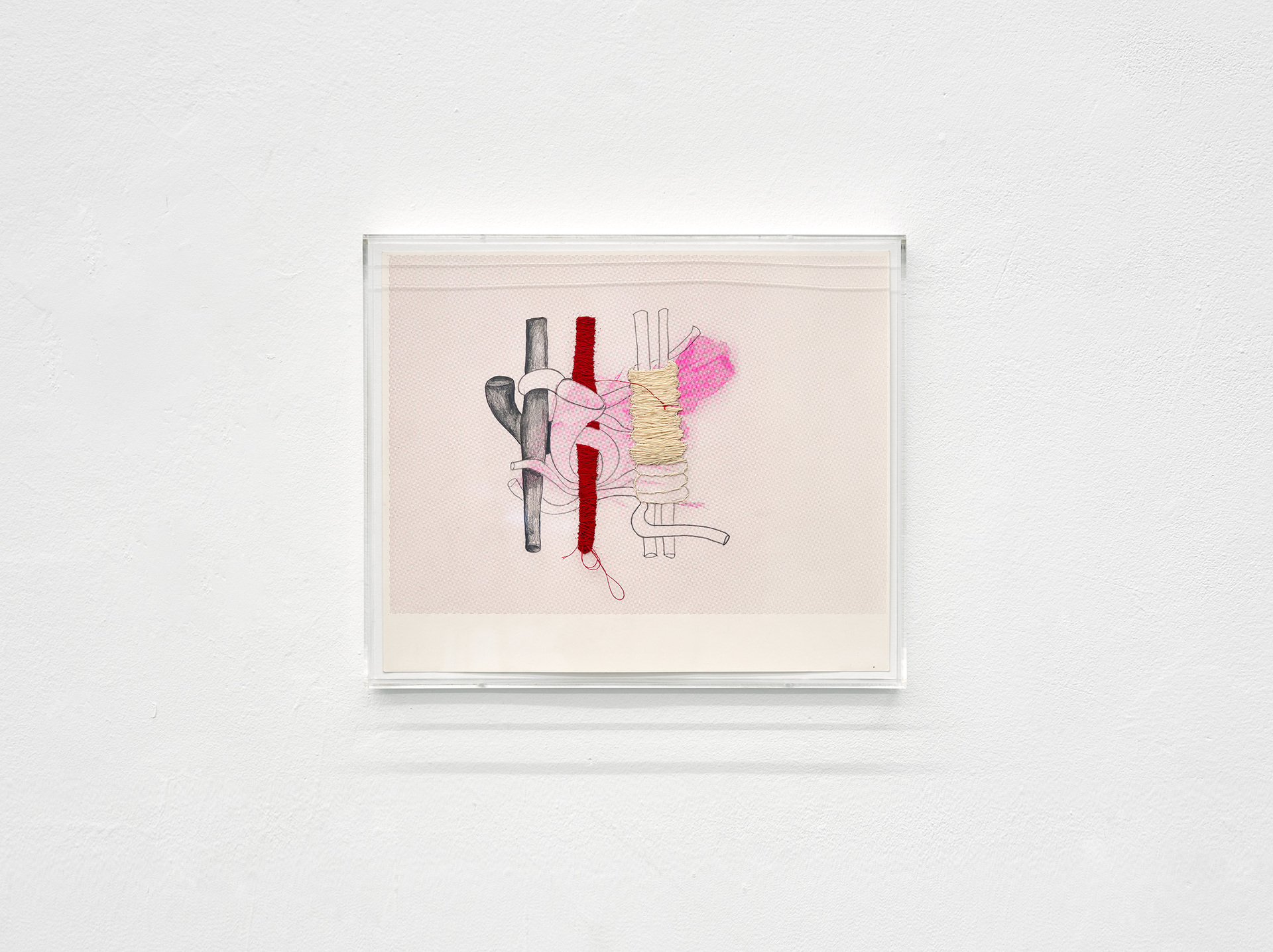 Elisaveta Braslavskaja, Dast-Bāf IV, 2022, Silkscreen on paper, drawing, yarn, acrylic glass hood, 31x37x4 cm