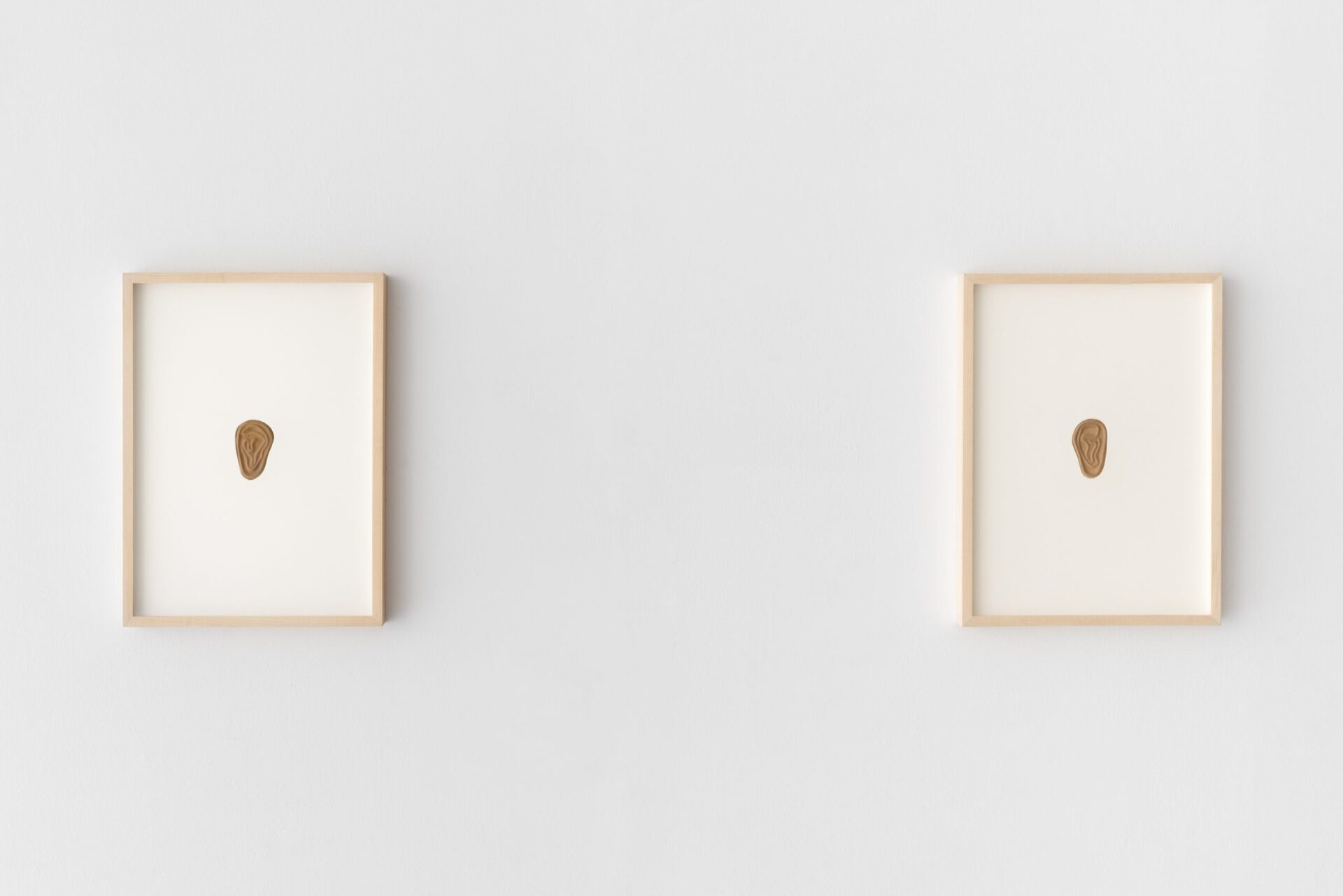 Kyle Alden Martens, Leather Left and Right Ear, 2022, leather, wood frame, glass, 12"x16" each