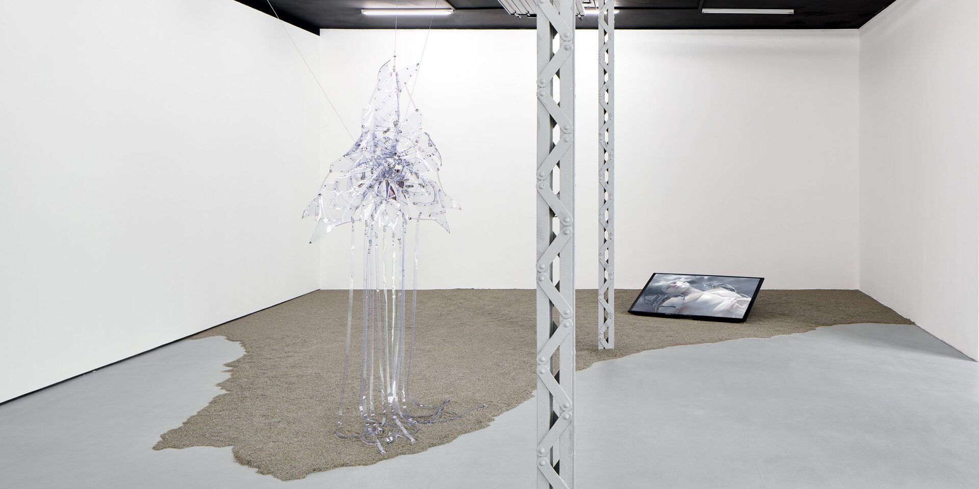 Neo-rising, Exhibition View, Polansky Gallery, 2022