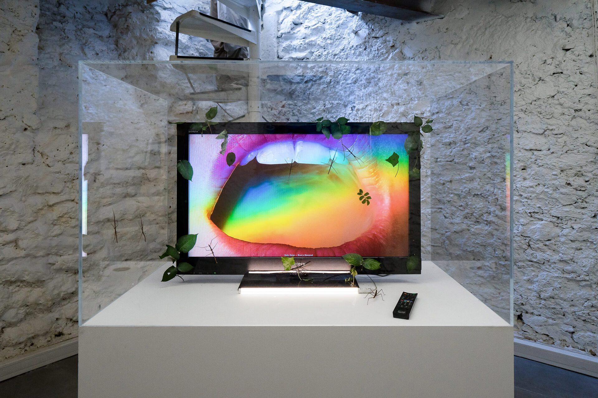 Blunt x Skensved, Body Holes, 2016, newscenario.net