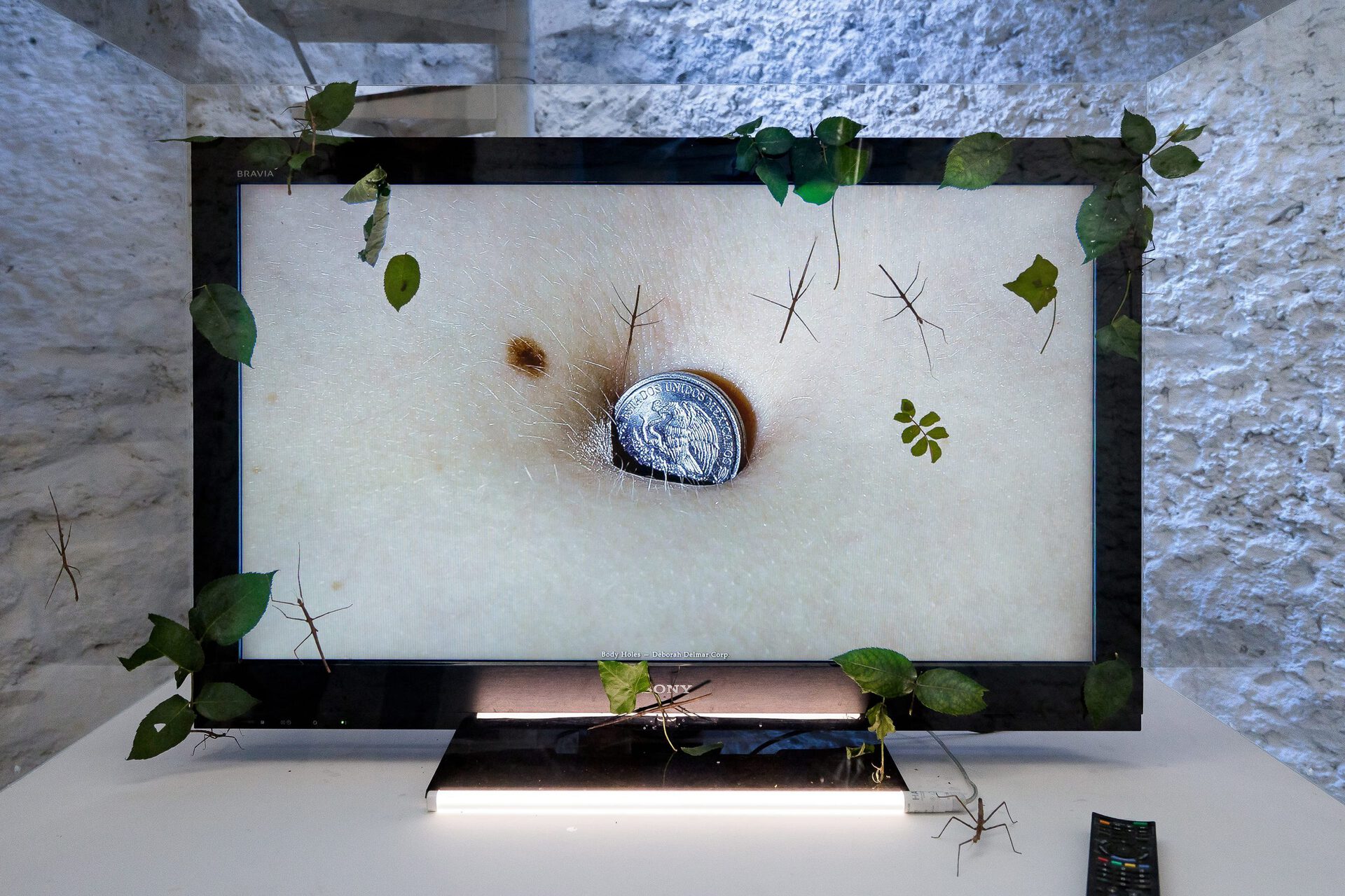 Deborah Delmar Corp, Body Holes, 2016, newscenario.net