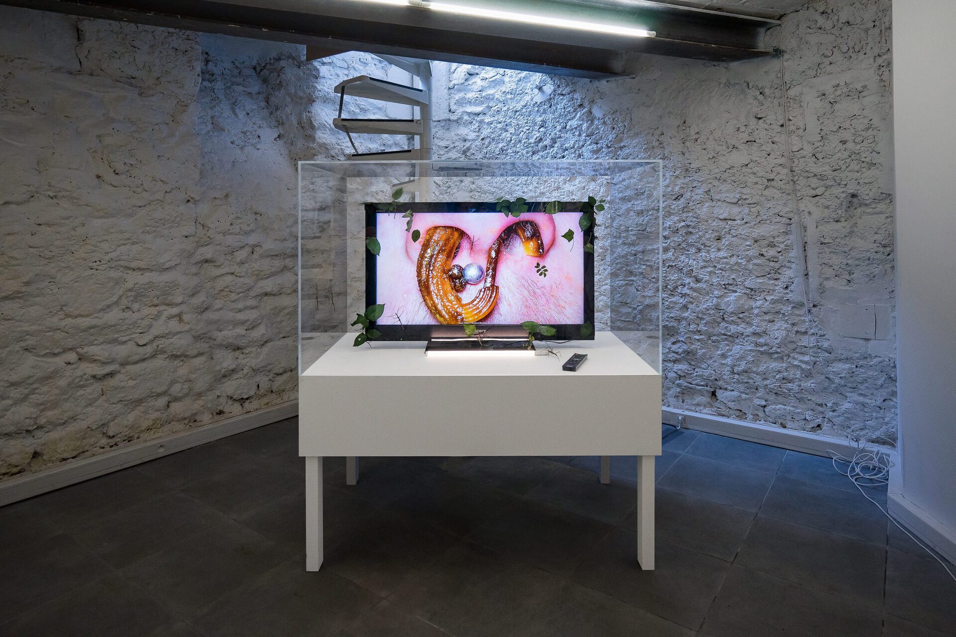 Burkhard Beschow & Anne E.H. Fellner, Body Holes, 2016, newscenario.net