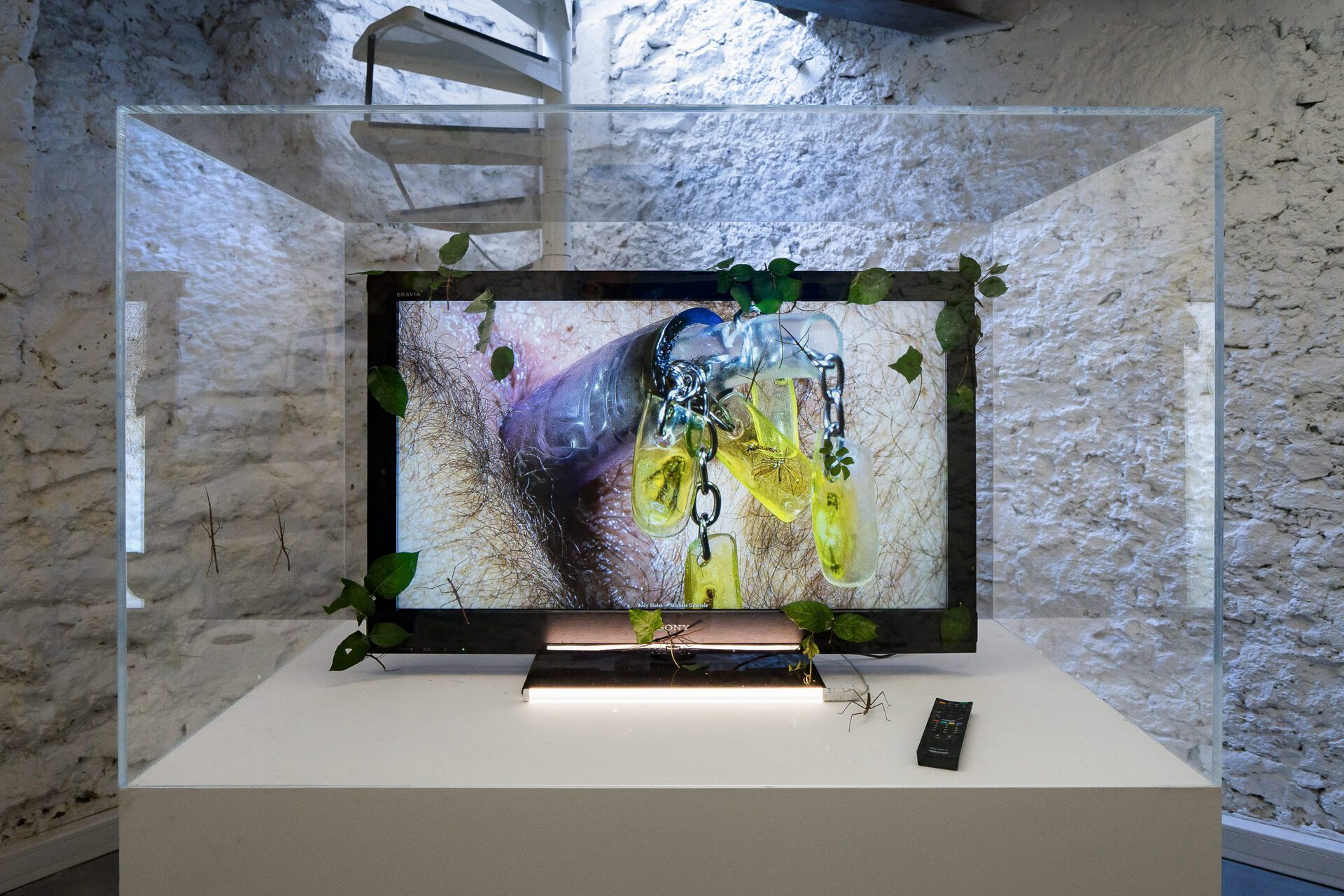 Michele Gabriele, Body Holes, 2016, newscenario.net