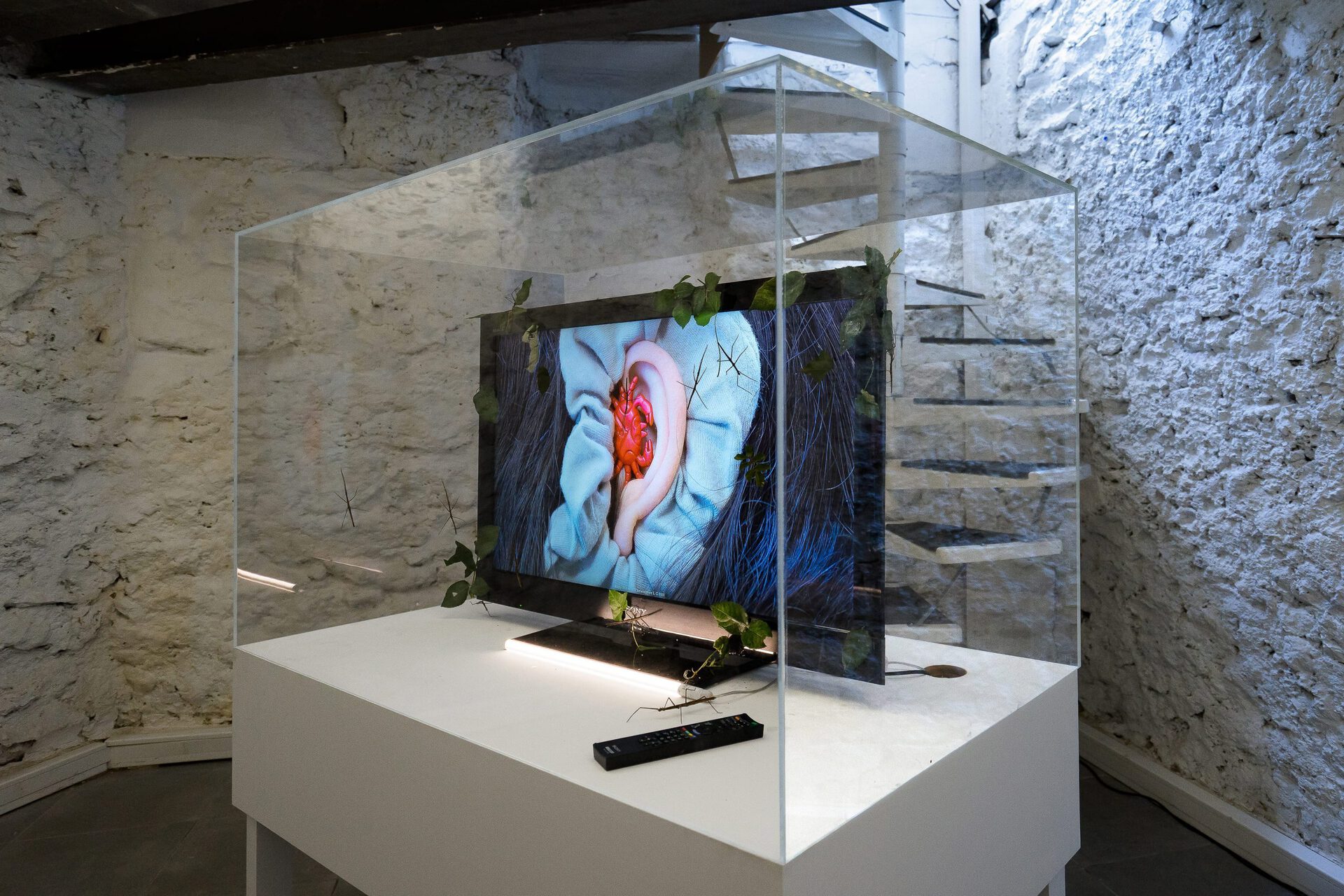 Christopher L G Hill, Body Holes, 2016, newscenario.net