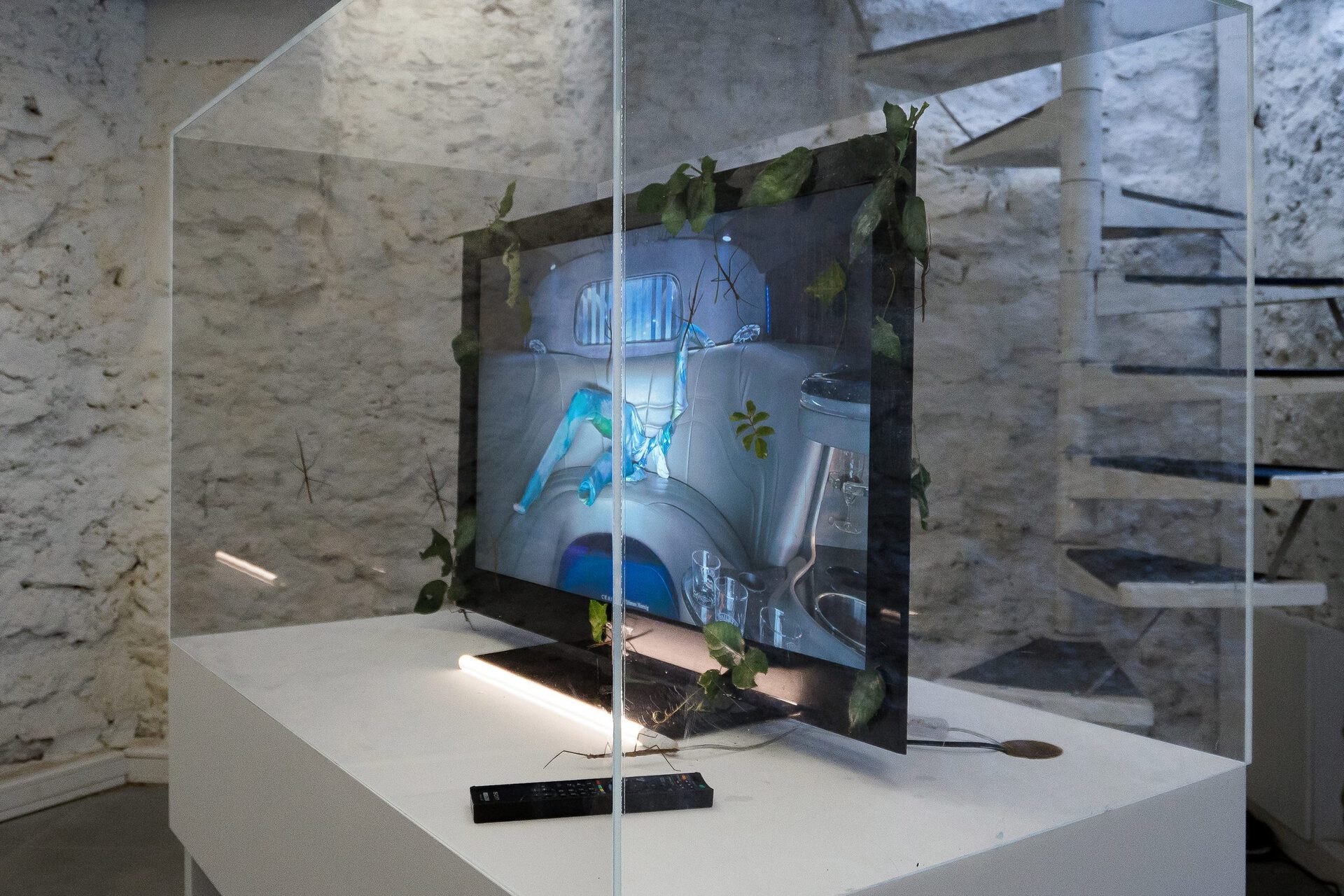 Tilman Hornig, C R A S H, 2015, newscenario.net