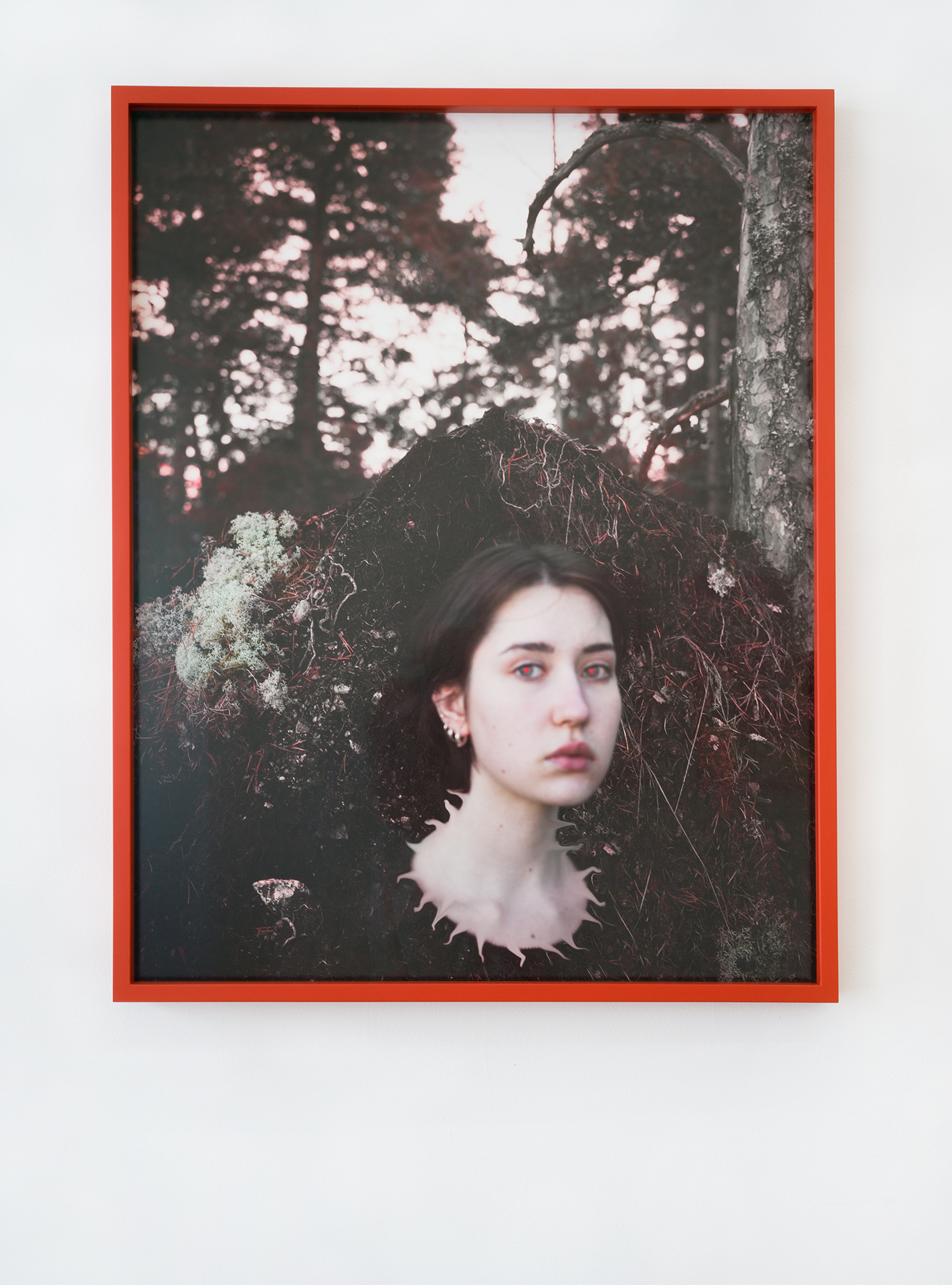 Hertta Kiiski Roots and feet 2022 NOON Projects Photo print on Hahnemühle Fine Art Baryta Satin 300gsm, mounted on aluminium. In Artist’s Frame, Beech Vermilion Frame with Museum Glass 31 1⁄2 × 24 1⁄4 In (80.2 × 64.2 cm)